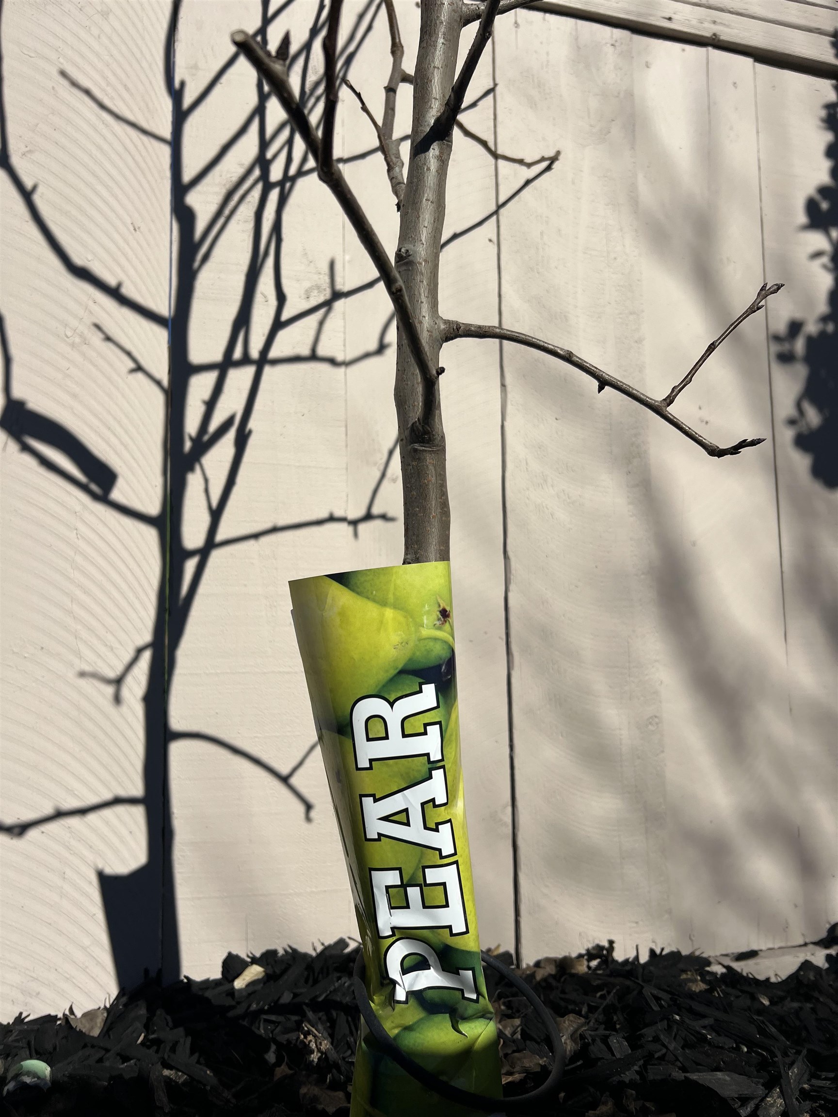 Detail Gallery Image 34 of 42 For 91 E Lake Dr, Antioch,  CA 94509 - 3 Beds | 2 Baths