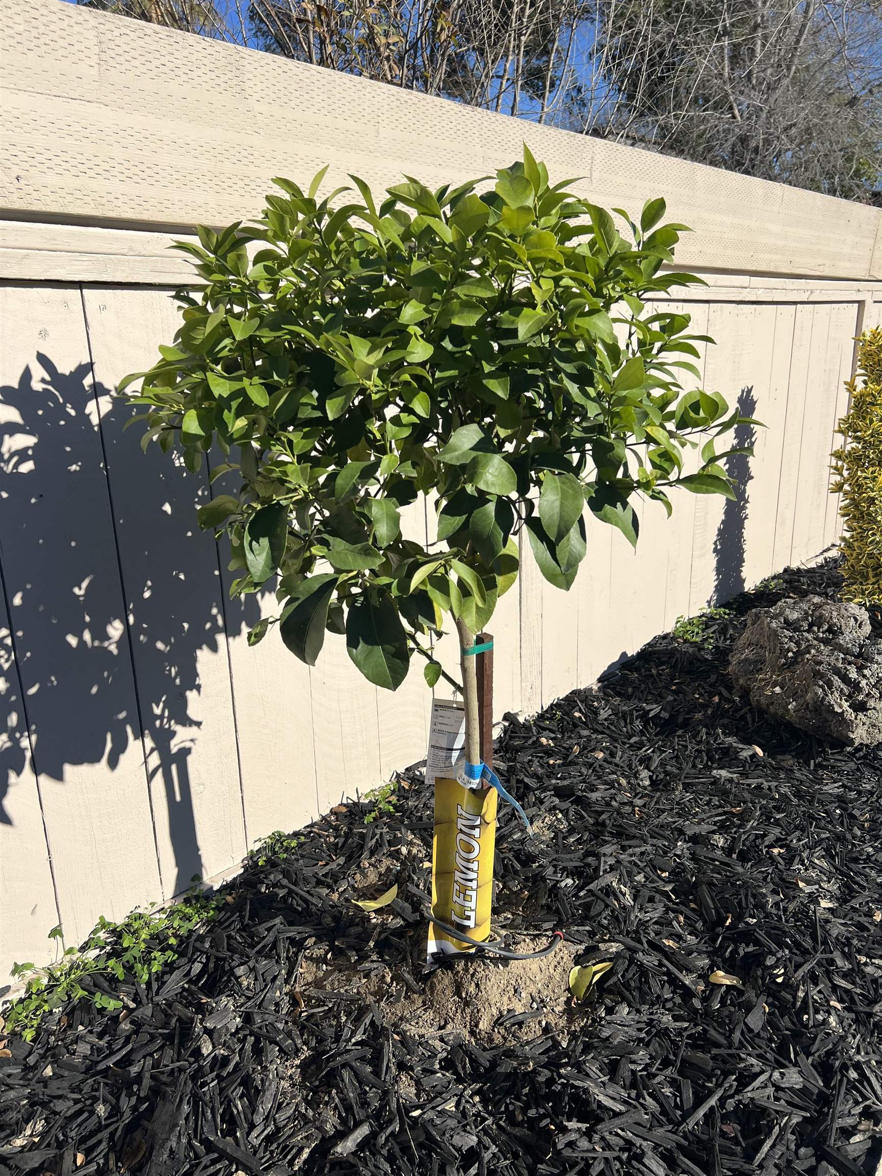 Detail Gallery Image 35 of 42 For 91 E Lake Dr, Antioch,  CA 94509 - 3 Beds | 2 Baths