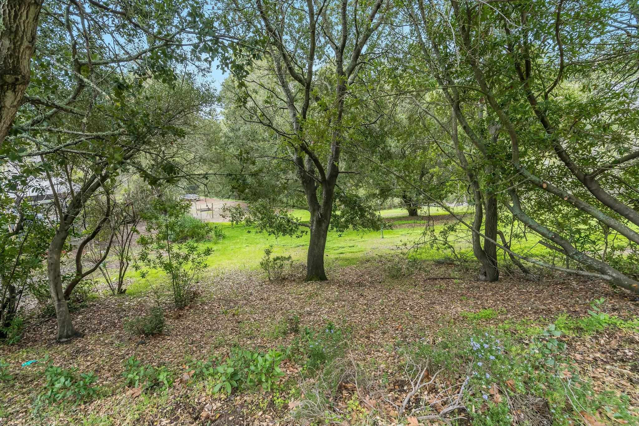 Detail Gallery Image 16 of 18 For 9 Charles Hill Rd, Orinda,  CA 94563 - – Beds | – Baths