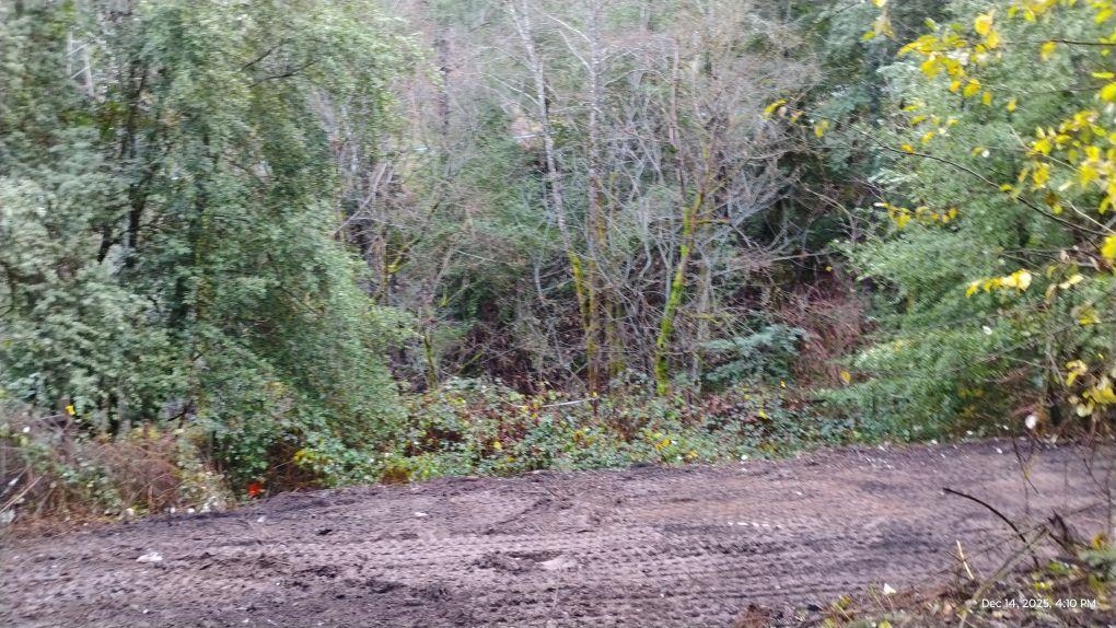 Detail Gallery Image 21 of 22 For 28440 Ryan Creek Rd, Willits,  CA 95490 - 3 Beds | 1 Baths