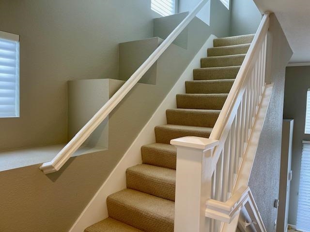 Detail Gallery Image 20 of 32 For 211 Swan Ct., Danville,  CA 94506-1143 - 3 Beds | 2/1 Baths