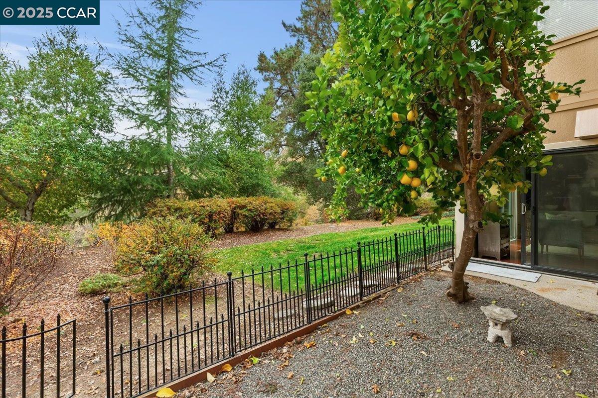 Photo #15: 41119893 Listing: Photo #15