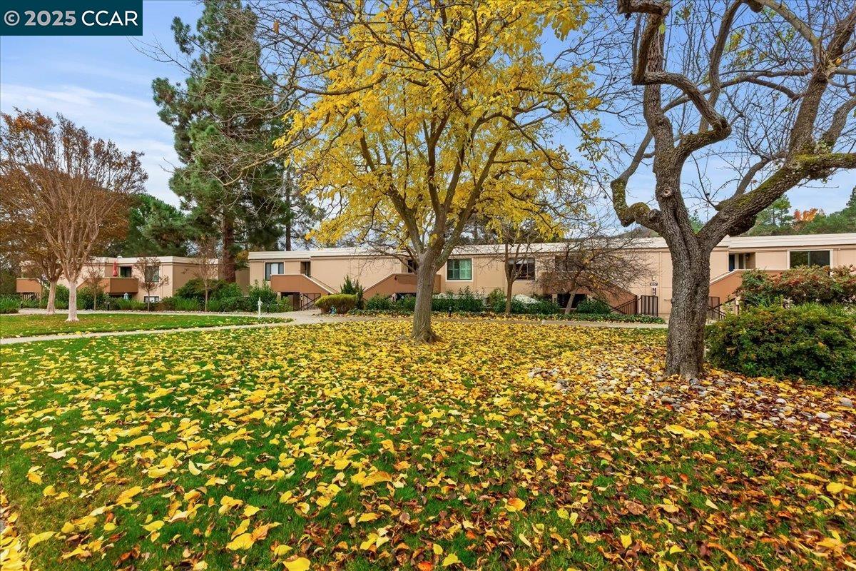 Photo #31: 41119893 Listing: Photo #31