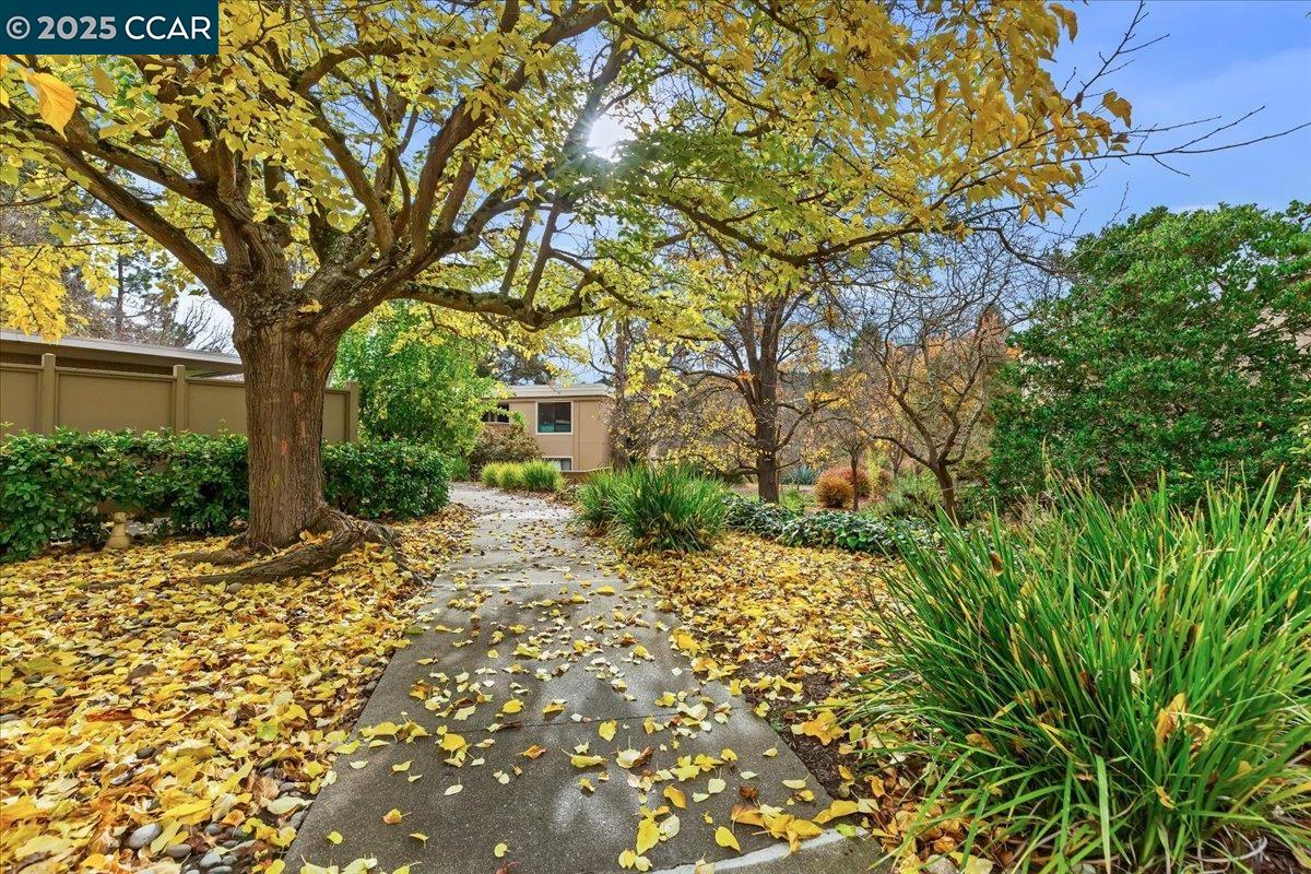 Photo #32: 41119893 Listing: Photo #32