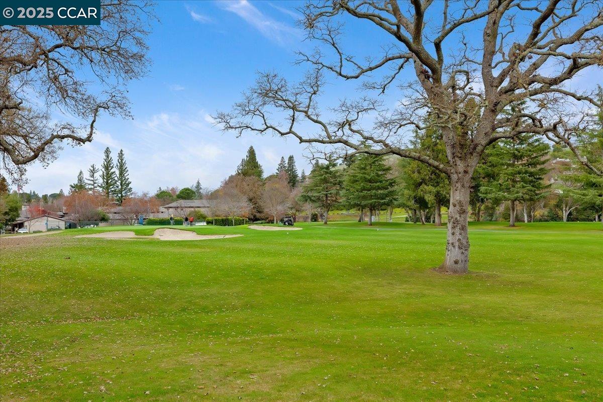 Photo #33: 41119893 Listing: Photo #33