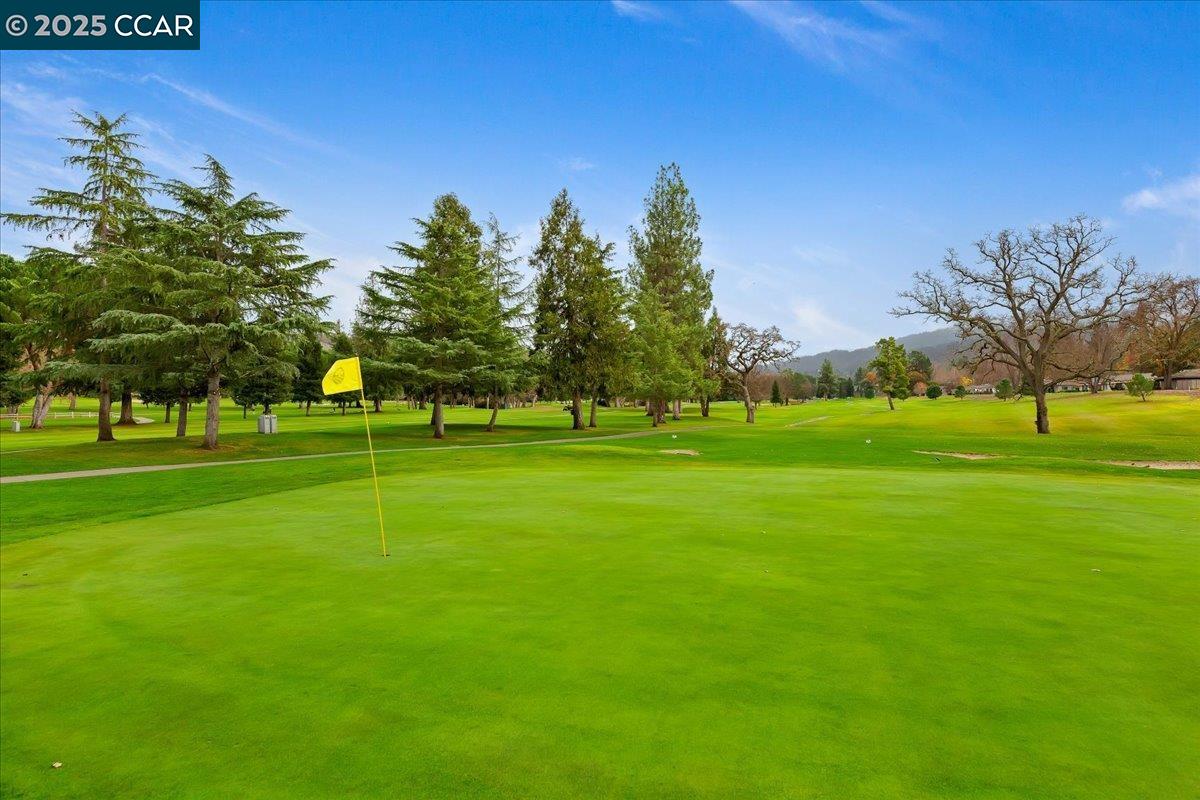 Photo #34: 41119893 Listing: Photo #34