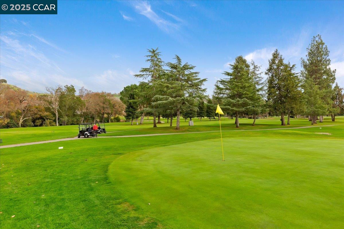 Photo #35: 41119893 Listing: Photo #35