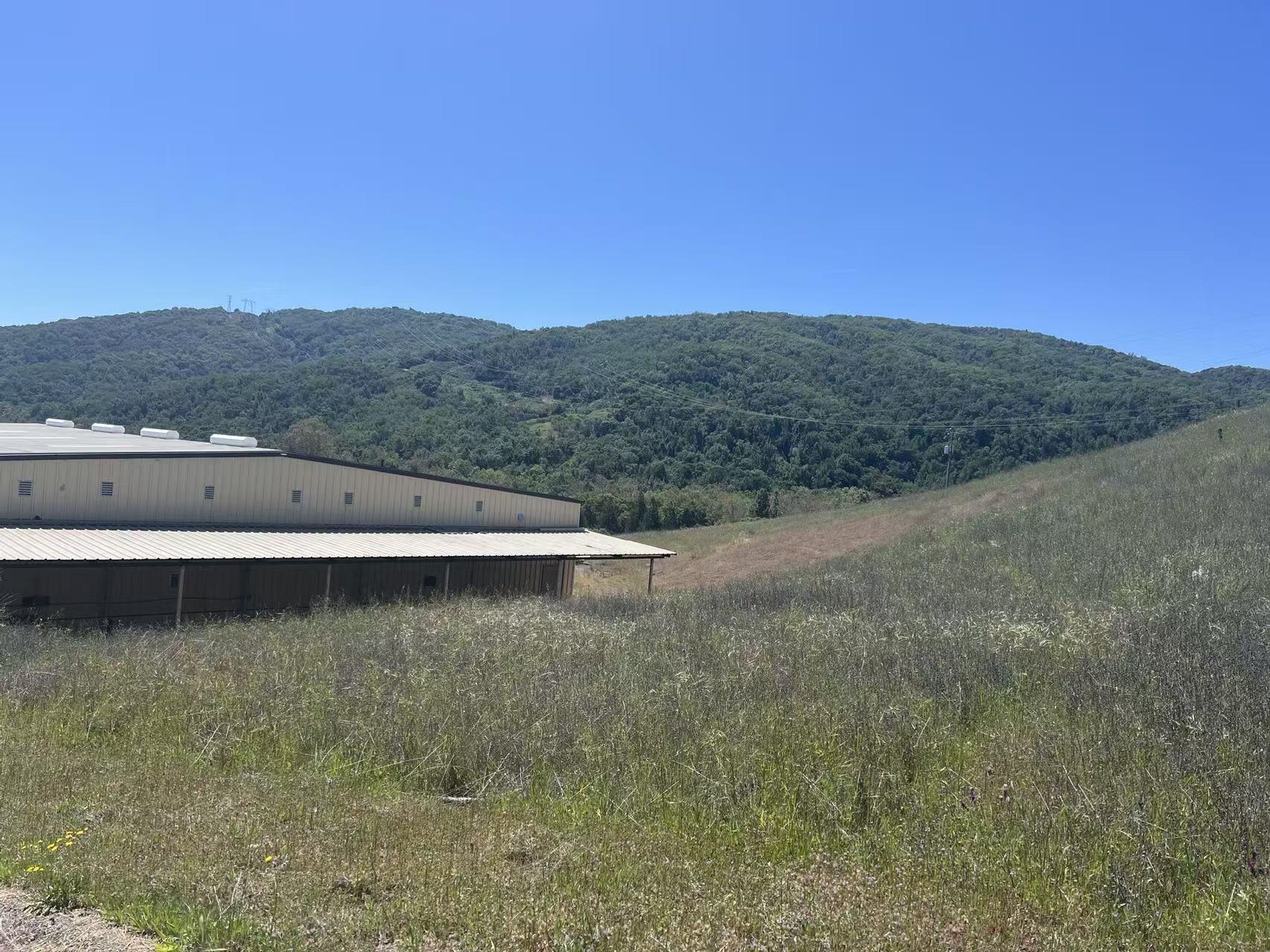 Detail Gallery Image 4 of 6 For 13160 Uvas Rd, Morgan Hill,  CA 95037 - – Beds | – Baths