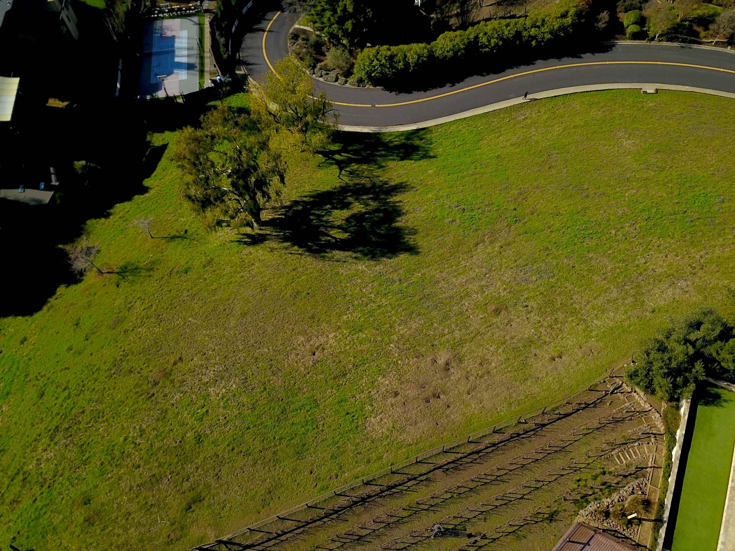 Detail Gallery Image 2 of 9 For 336 Merrilee Pl, Danville,  CA 94526 - – Beds | – Baths