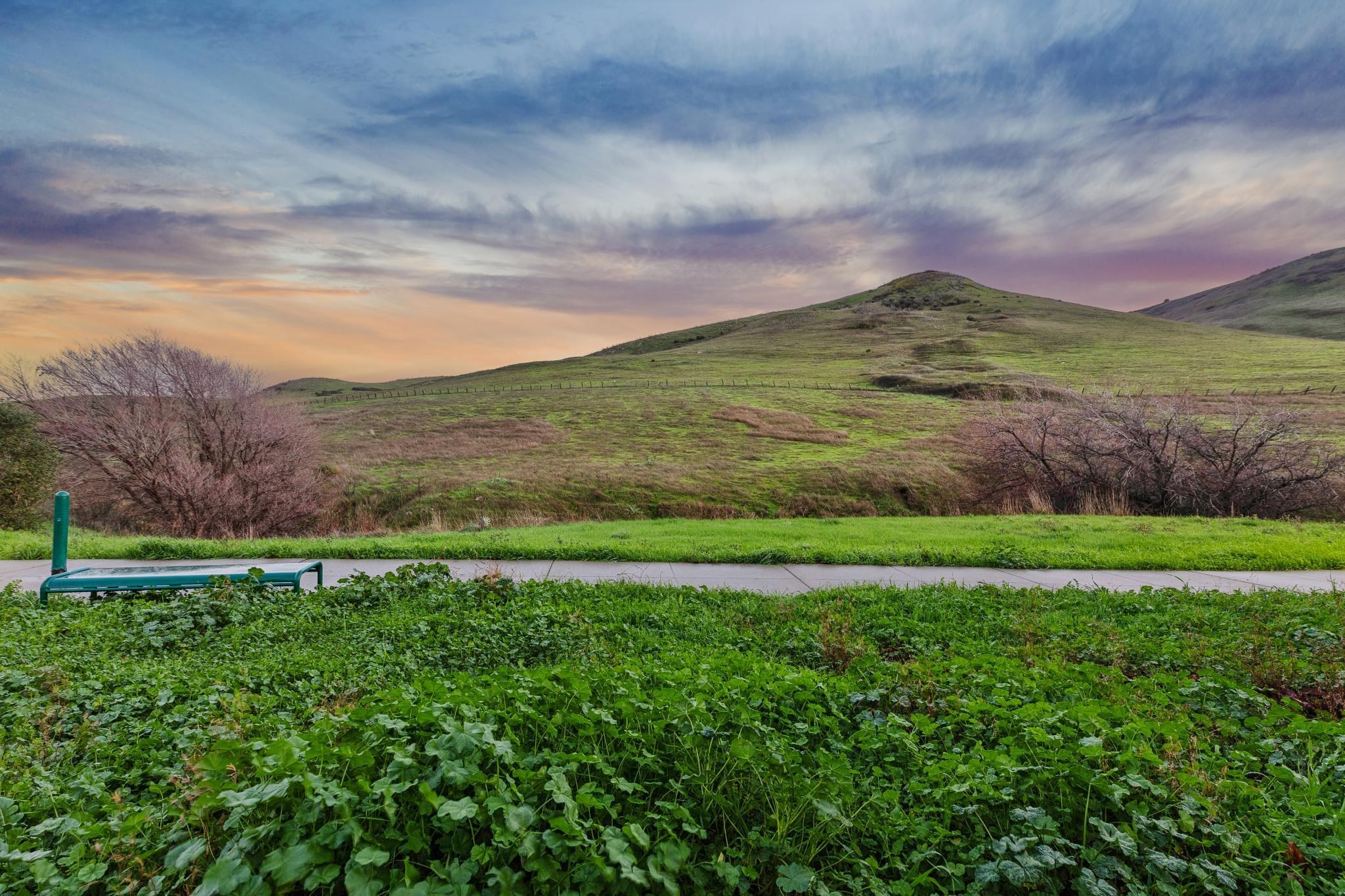 Detail Gallery Image 54 of 57 For 2149 Saddlebred Dr., Fairfield,  CA 94534 - 4 Beds | 3 Baths