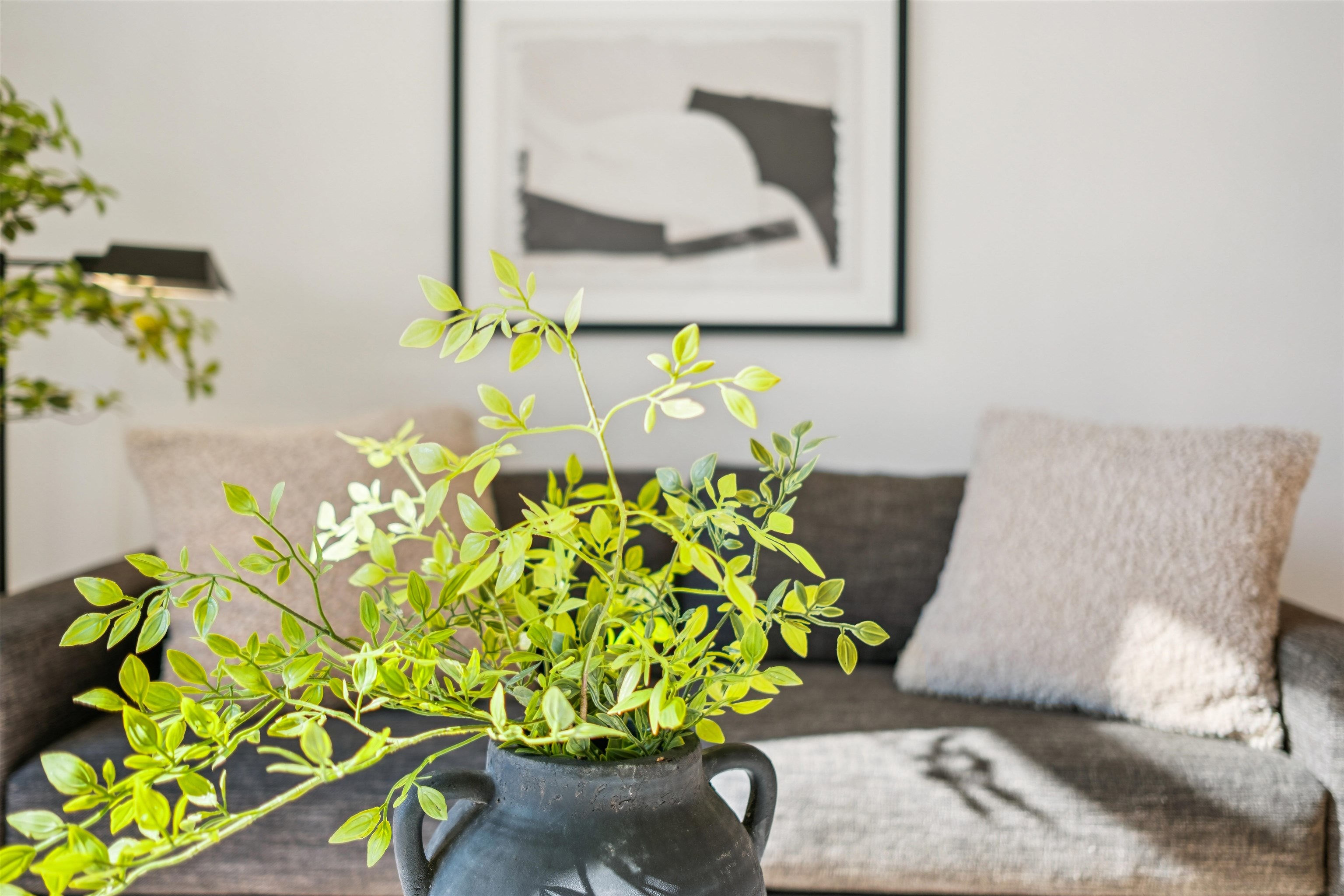 Photo #14: 41119926 Listing: Photo #14