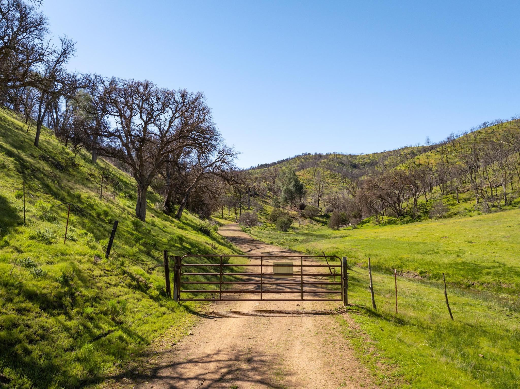 Front Image Thumbnail for BE41119929