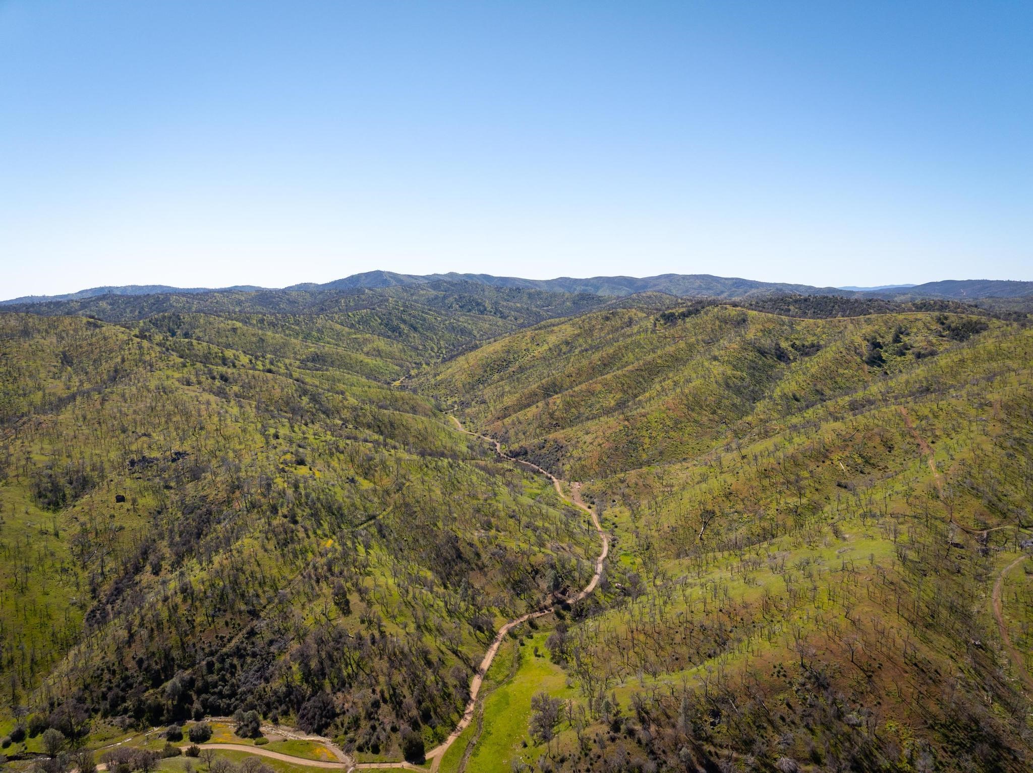 Detail Gallery Image 2 of 26 For 15676 W Corral Hollow Rd, Tracy,  CA 95377 - – Beds | – Baths