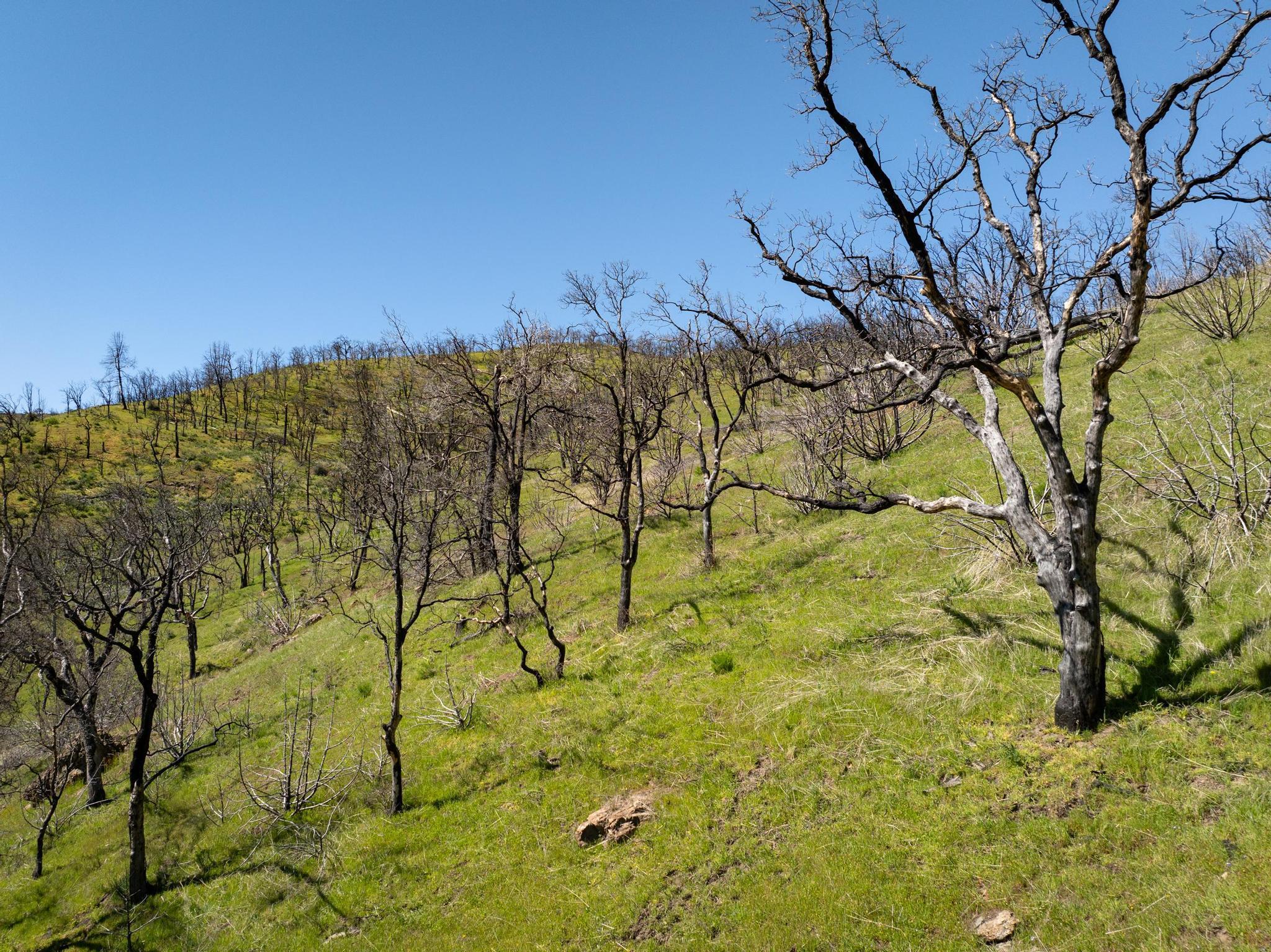 Detail Gallery Image 12 of 26 For 15676 W Corral Hollow Rd, Tracy,  CA 95377 - – Beds | – Baths