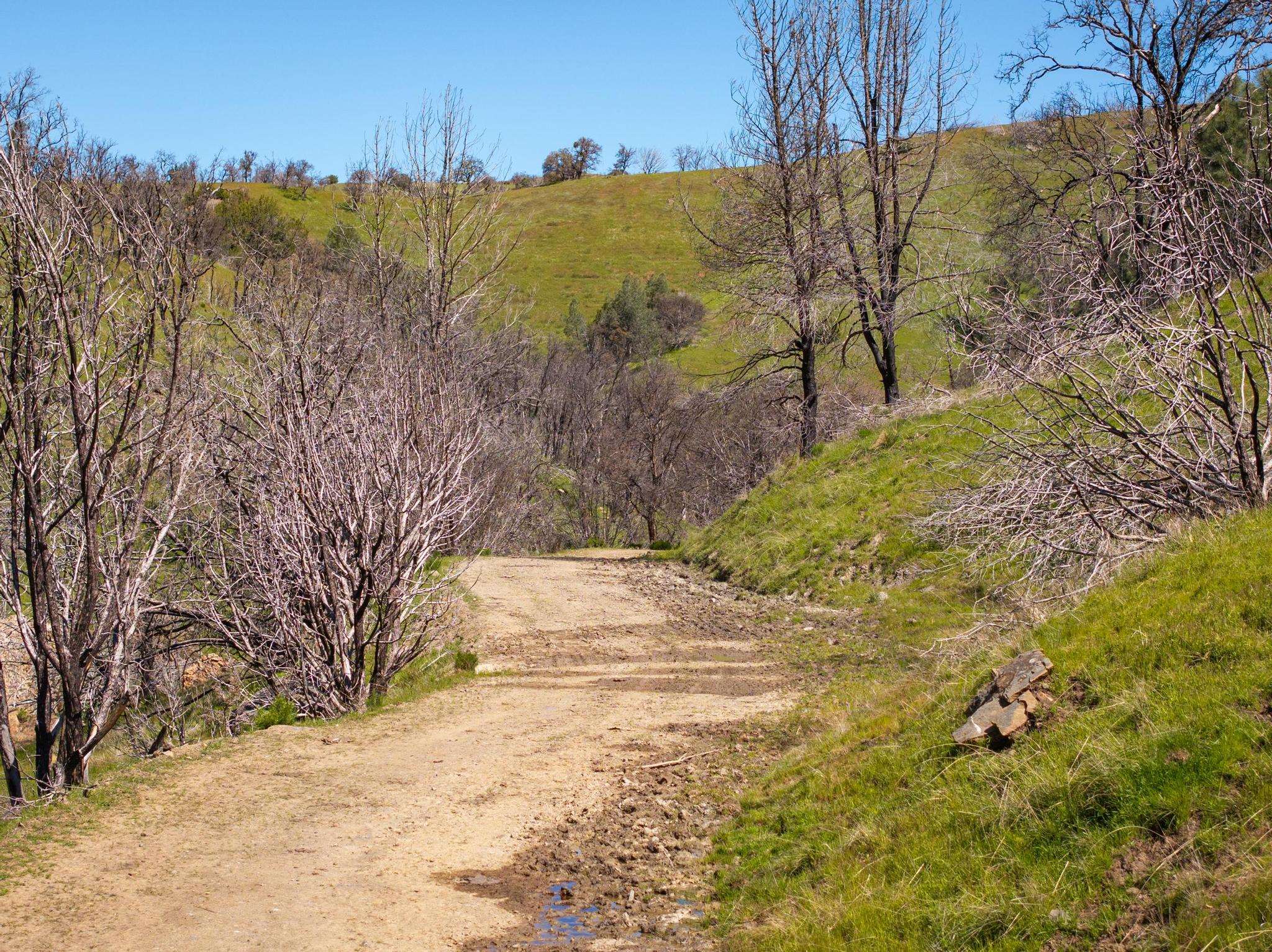 Detail Gallery Image 14 of 26 For 15676 W Corral Hollow Rd, Tracy,  CA 95377 - – Beds | – Baths