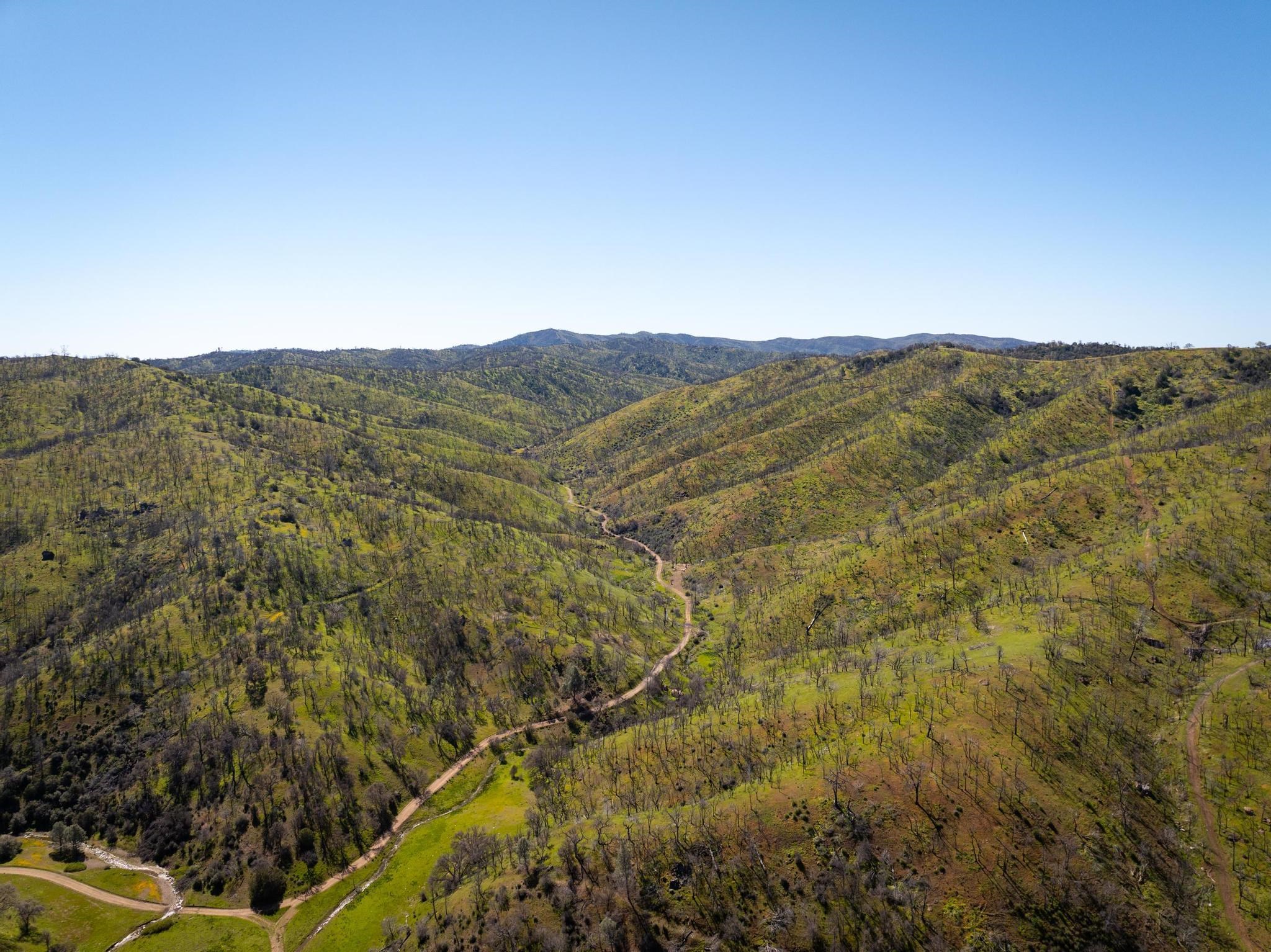 Detail Gallery Image 16 of 26 For 15676 W Corral Hollow Rd, Tracy,  CA 95377 - – Beds | – Baths