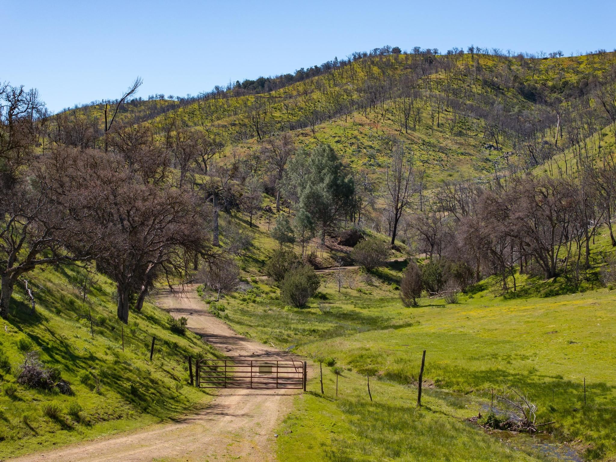 Detail Gallery Image 17 of 26 For 15676 W Corral Hollow Rd, Tracy,  CA 95377 - – Beds | – Baths