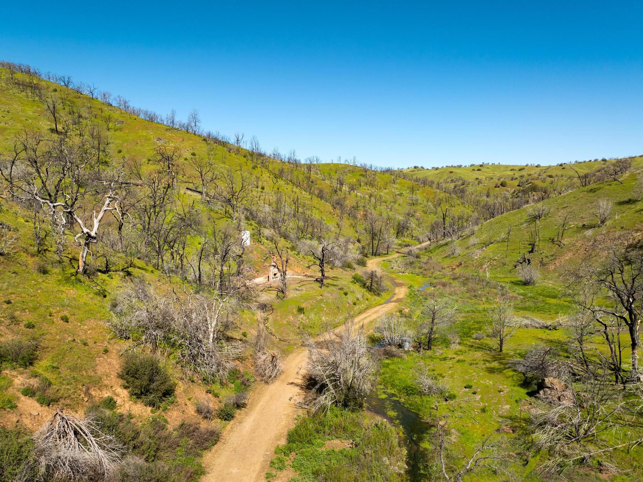 Detail Gallery Image 18 of 26 For 15676 W Corral Hollow Rd, Tracy,  CA 95377 - – Beds | – Baths