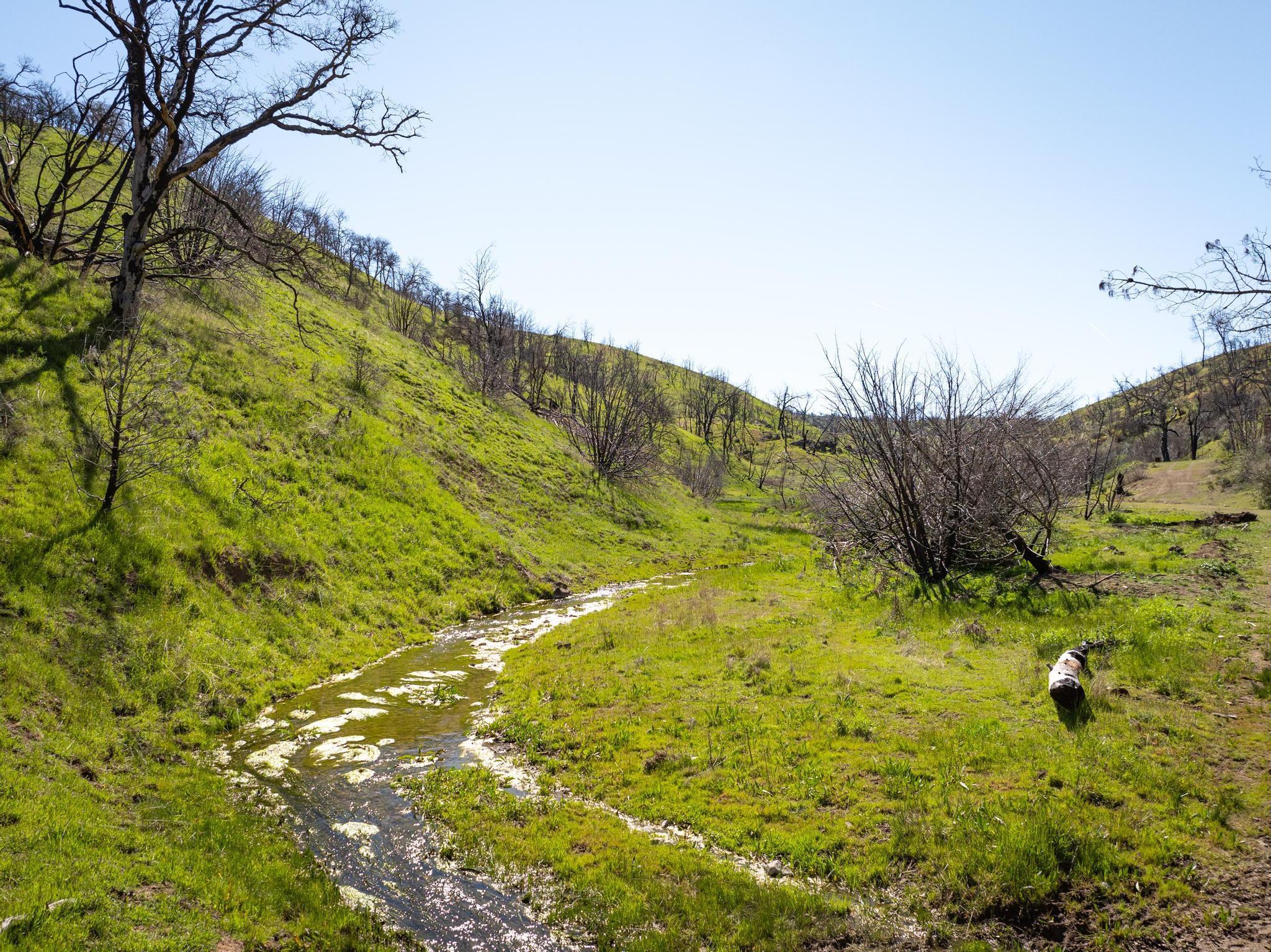 Detail Gallery Image 19 of 26 For 15676 W Corral Hollow Rd, Tracy,  CA 95377 - – Beds | – Baths