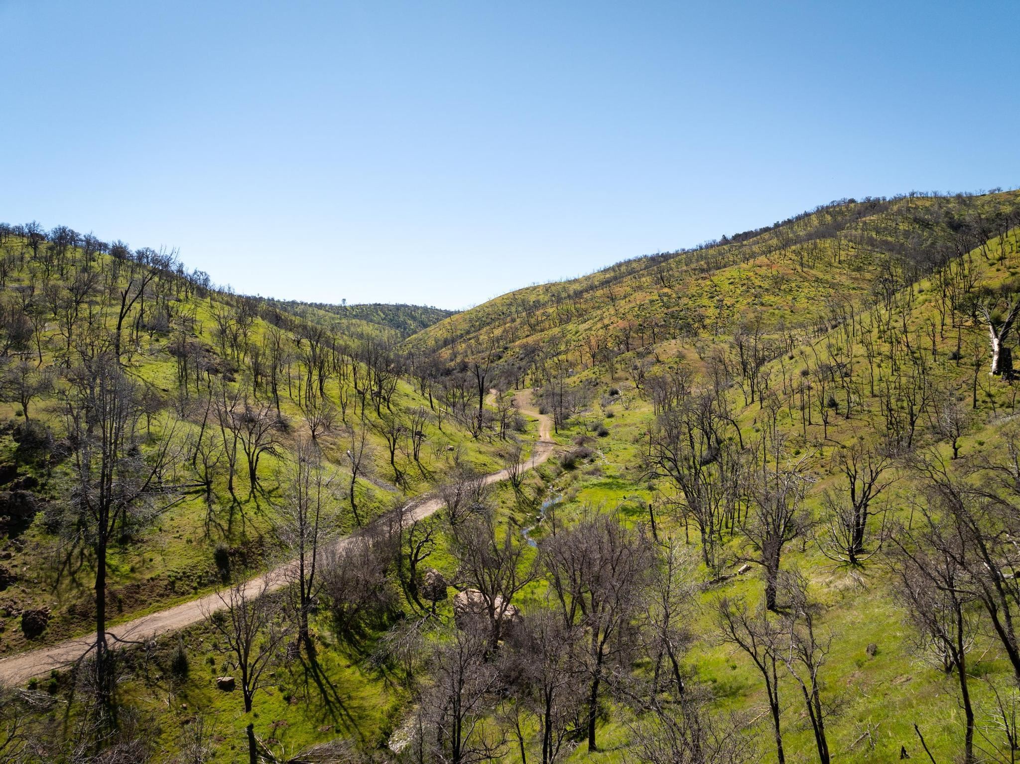 Detail Gallery Image 20 of 26 For 15676 W Corral Hollow Rd, Tracy,  CA 95377 - – Beds | – Baths