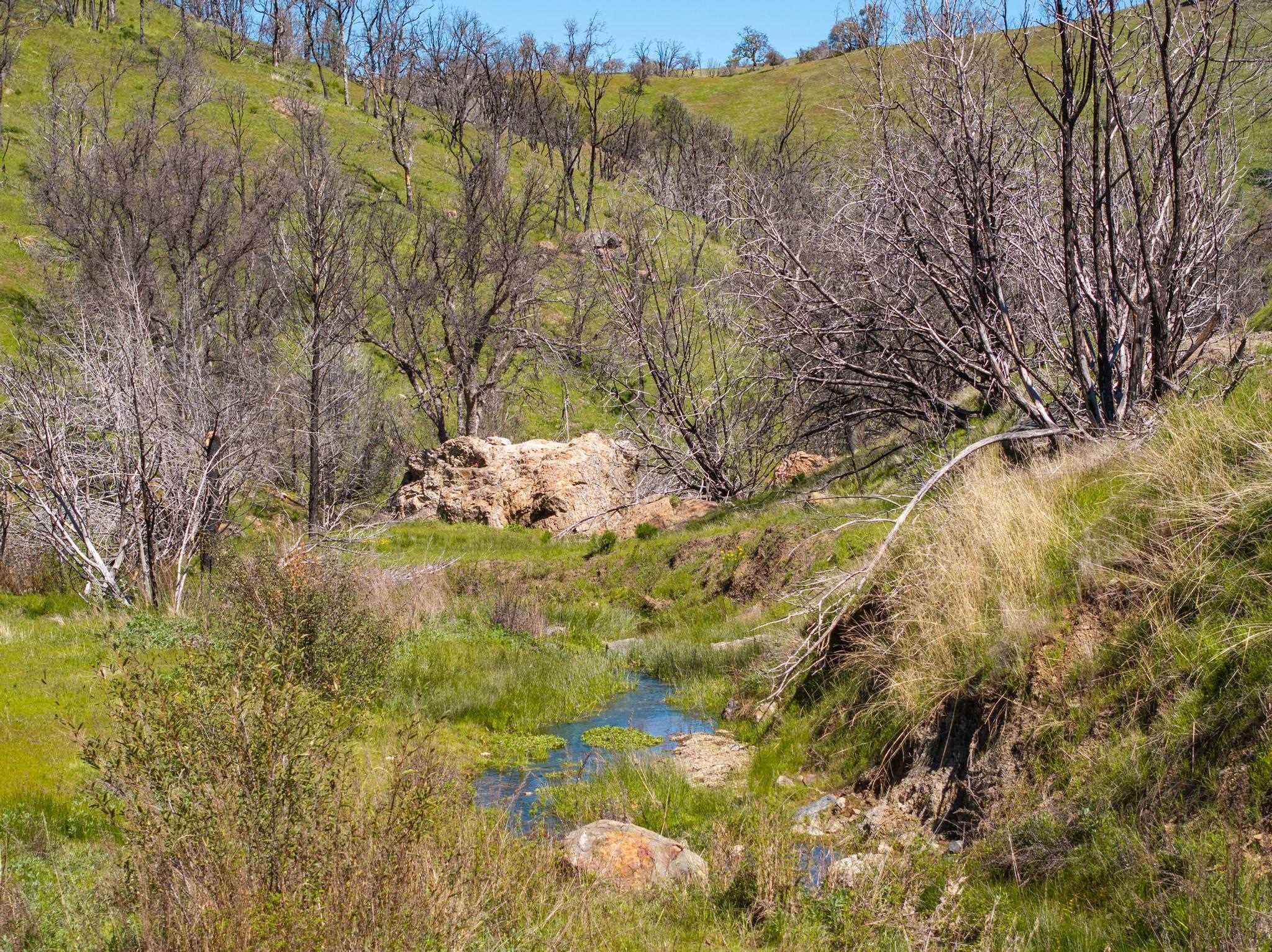 Detail Gallery Image 21 of 26 For 15676 W Corral Hollow Rd, Tracy,  CA 95377 - – Beds | – Baths