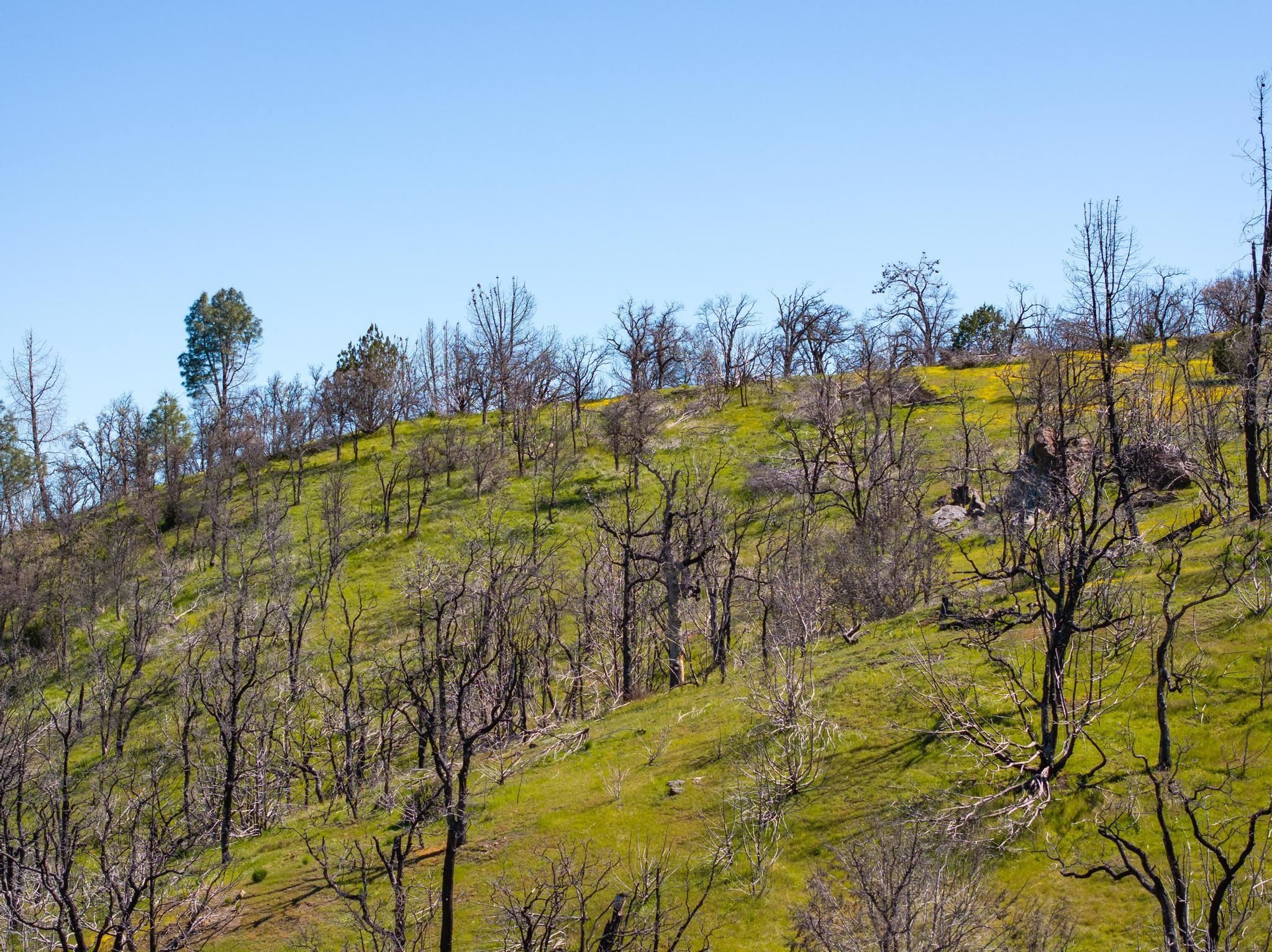 Detail Gallery Image 24 of 26 For 15676 W Corral Hollow Rd, Tracy,  CA 95377 - – Beds | – Baths