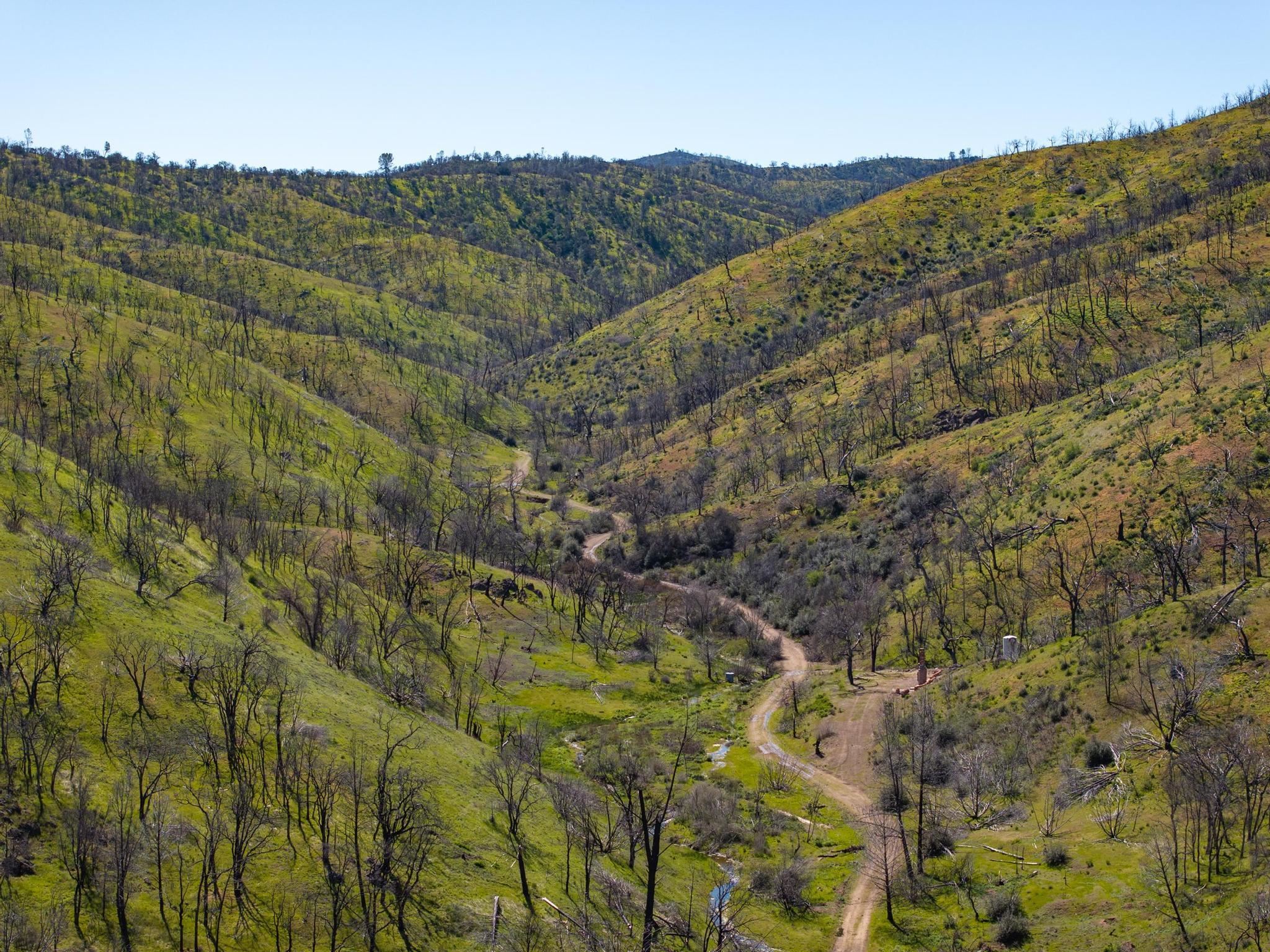 Detail Gallery Image 25 of 26 For 15676 W Corral Hollow Rd, Tracy,  CA 95377 - – Beds | – Baths