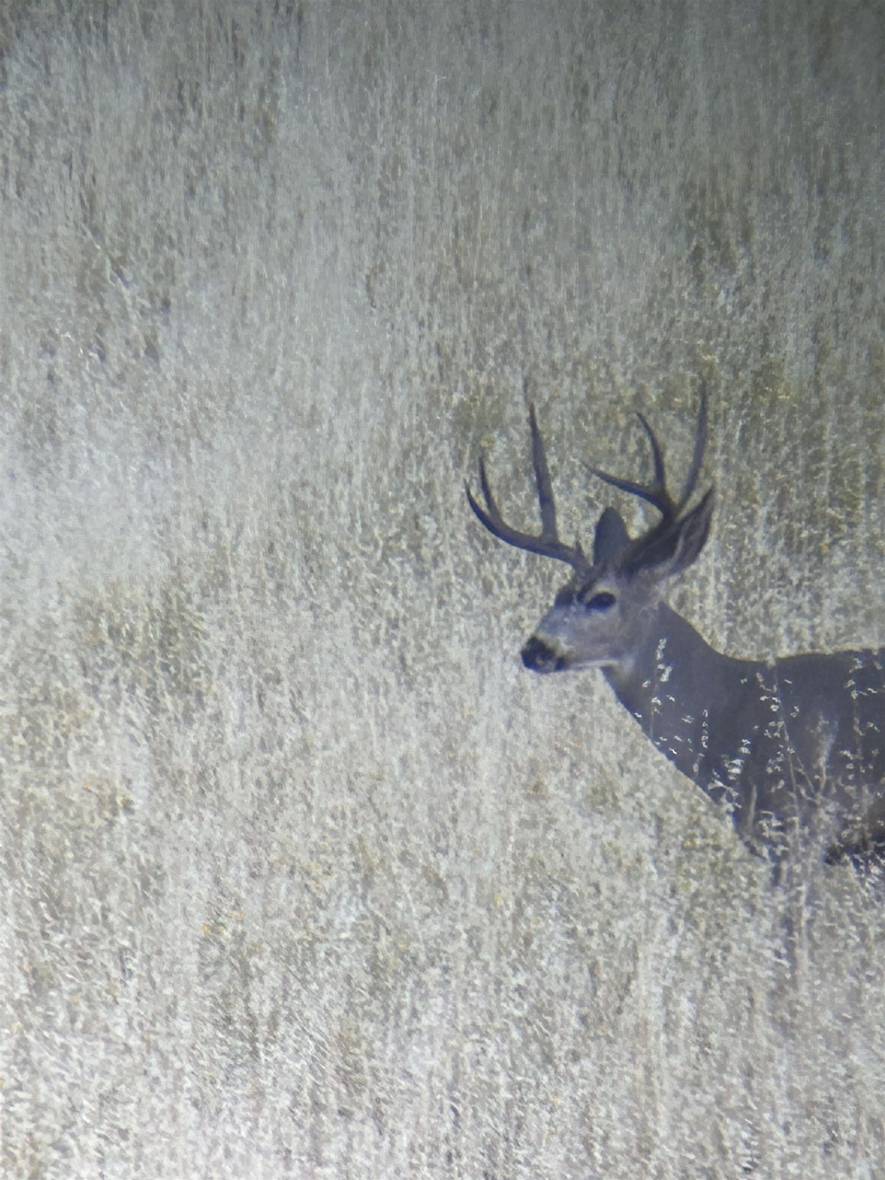 Detail Gallery Image 26 of 26 For 15676 W Corral Hollow Rd, Tracy,  CA 95377 - – Beds | – Baths