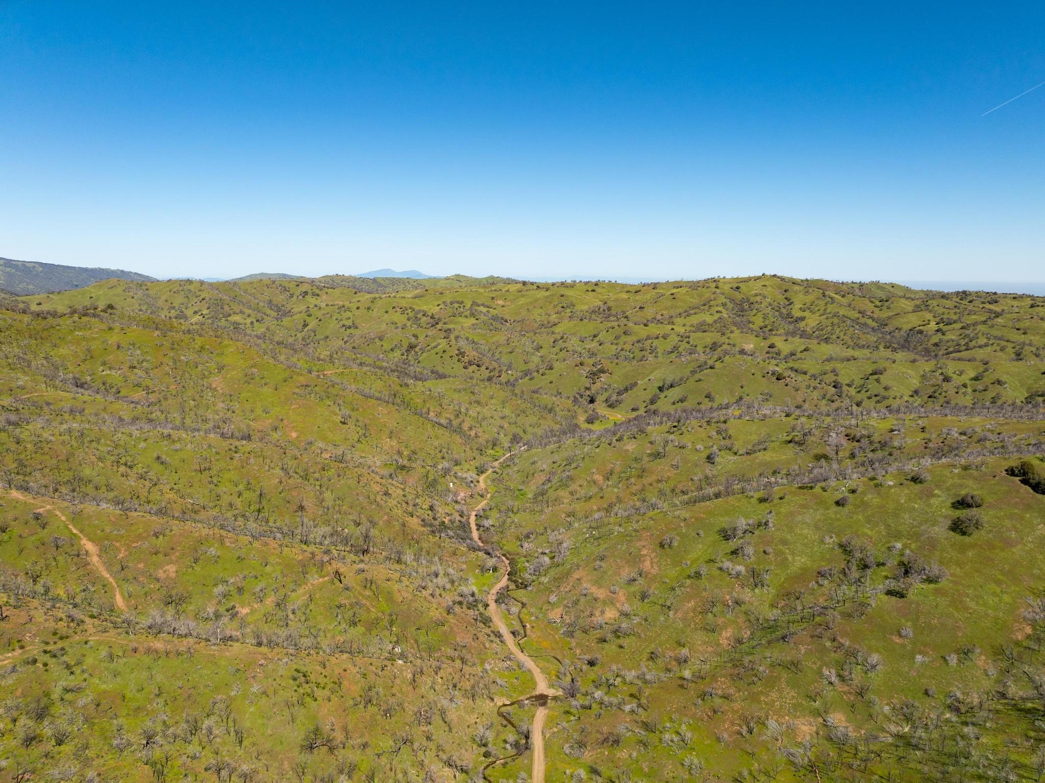 Detail Gallery Image 8 of 26 For 15676 W Corral Hollow Rd, Tracy,  CA 95377 - – Beds | – Baths