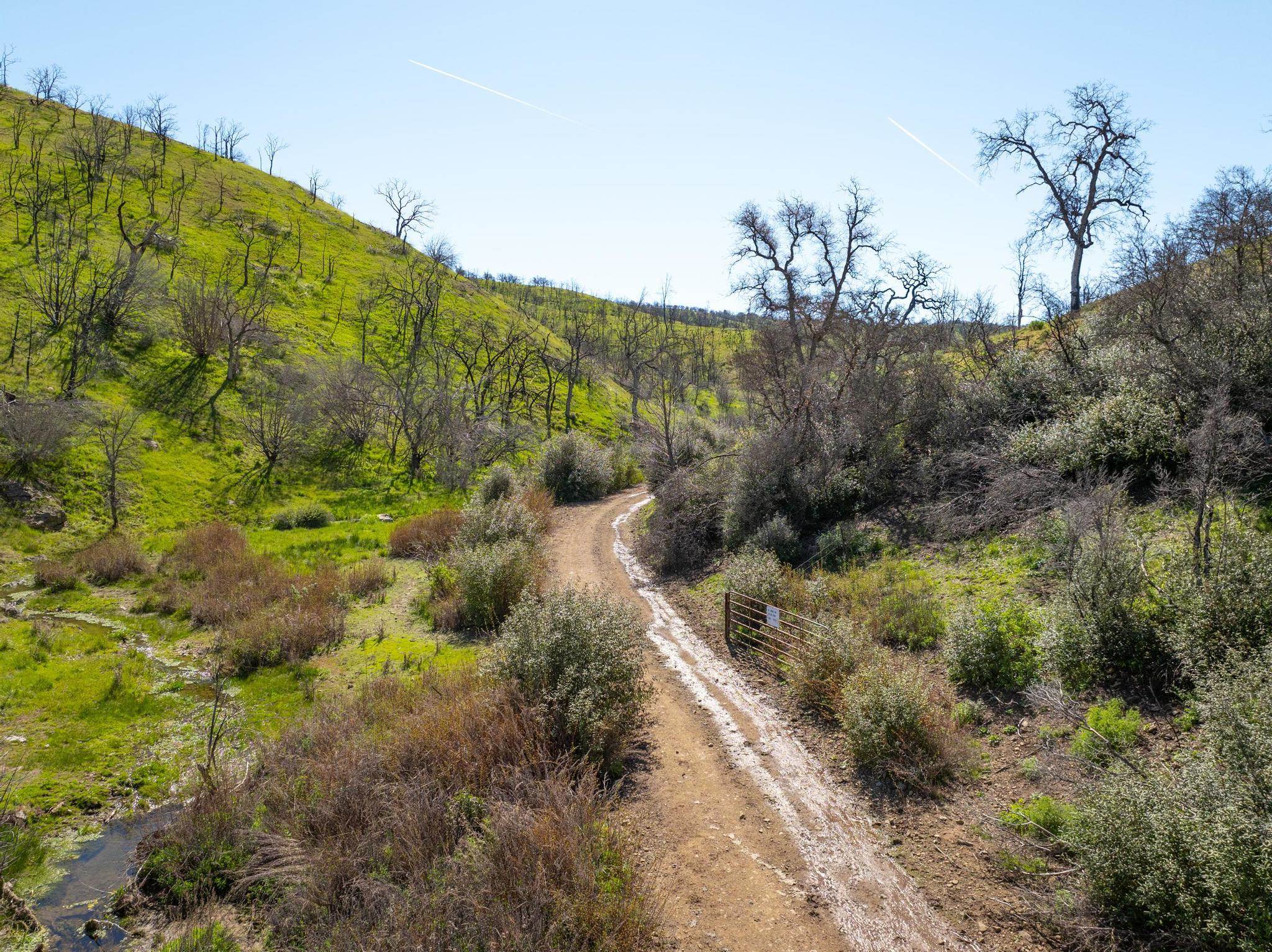 Detail Gallery Image 9 of 26 For 15676 W Corral Hollow Rd, Tracy,  CA 95377 - – Beds | – Baths