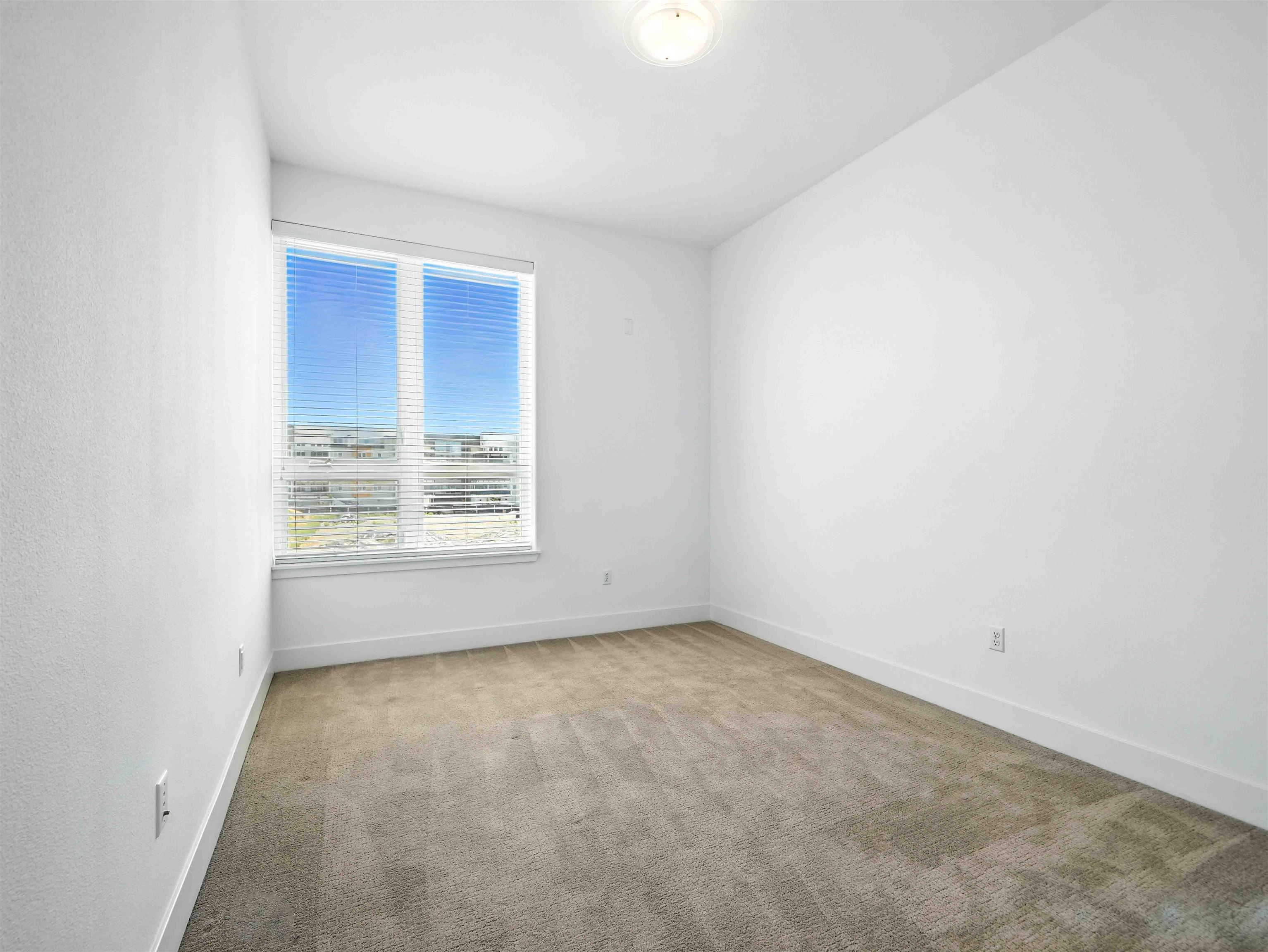 Photo #13: 41119948 Listing: Photo #13