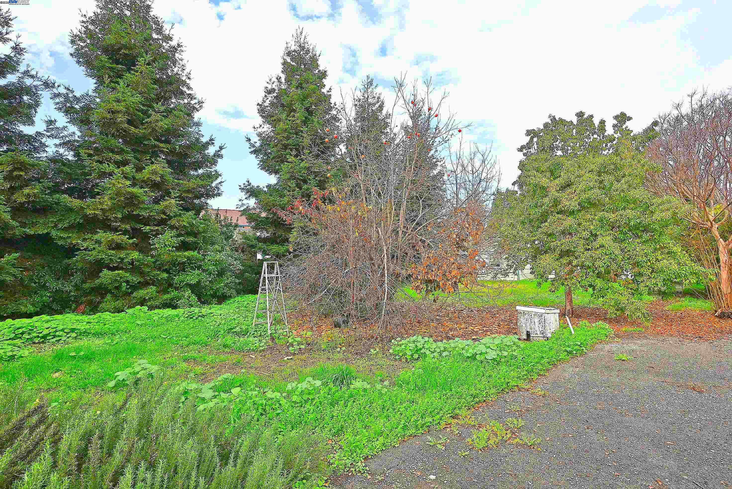 Detail Gallery Image 45 of 51 For 181 E Lewelling Blvd, San Lorenzo,  CA 94580 - 2 Beds | 1 Baths