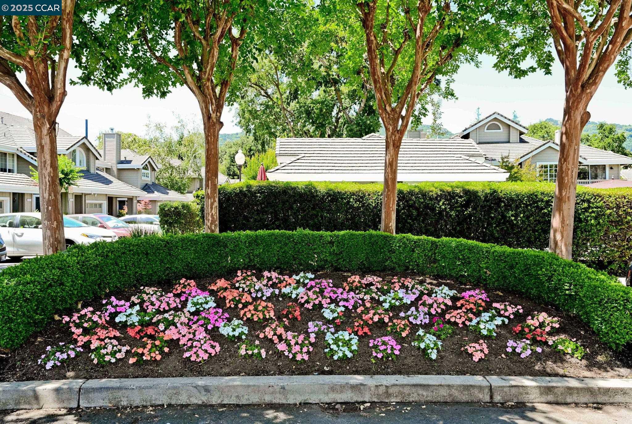 Photo #31: 41119954 Listing: Photo #31