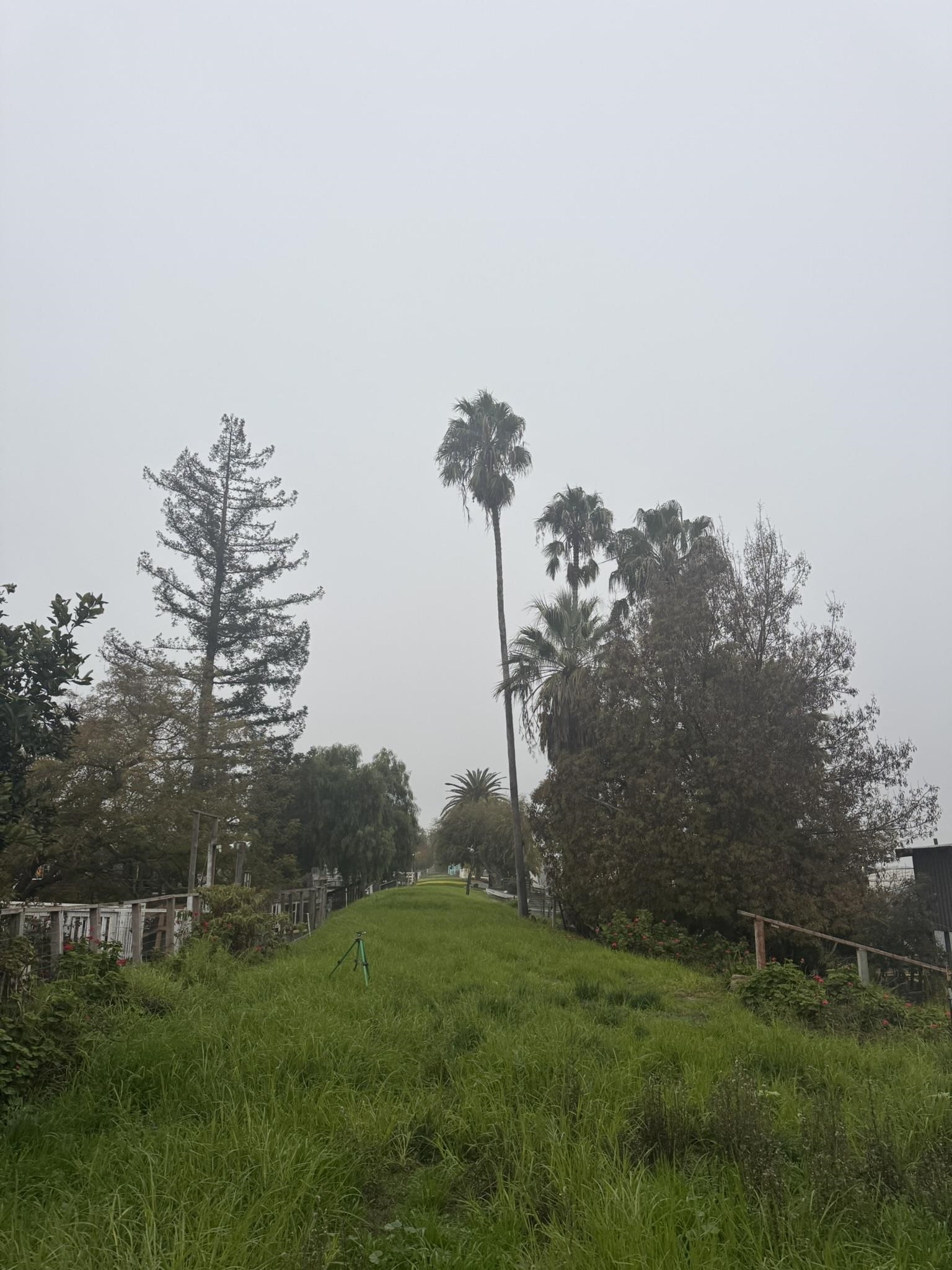 Detail Gallery Image 20 of 31 For 5116 Sandmound Blvd, Oakley,  CA 94561 - 2 Beds | 2 Baths