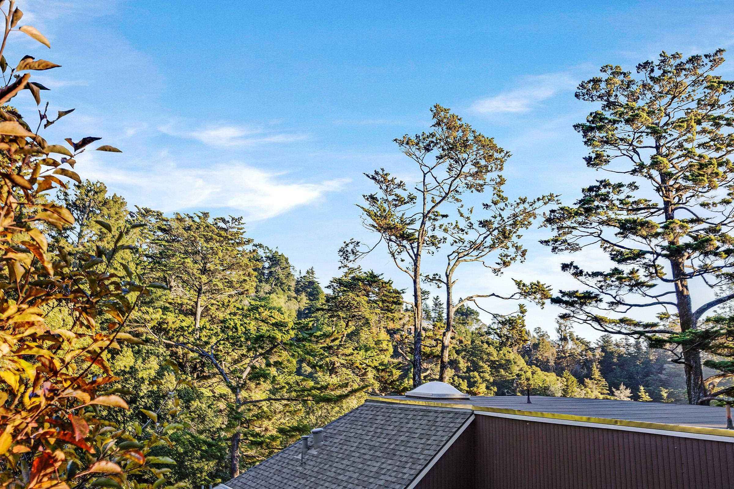 Detail Gallery Image 33 of 51 For 5982 Ascot Dr, Oakland,  CA 94611 - 2 Beds | 1/1 Baths