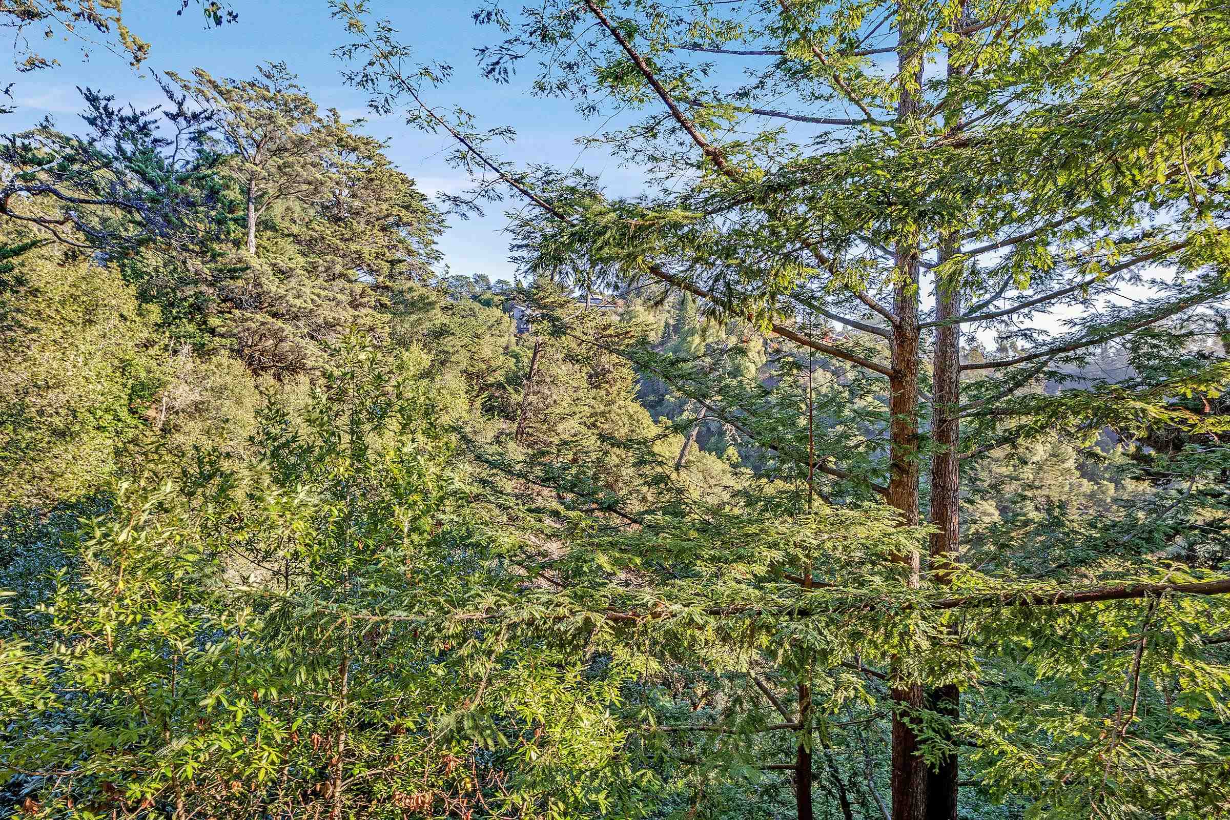 Detail Gallery Image 7 of 51 For 5982 Ascot Dr, Oakland,  CA 94611 - 2 Beds | 1/1 Baths