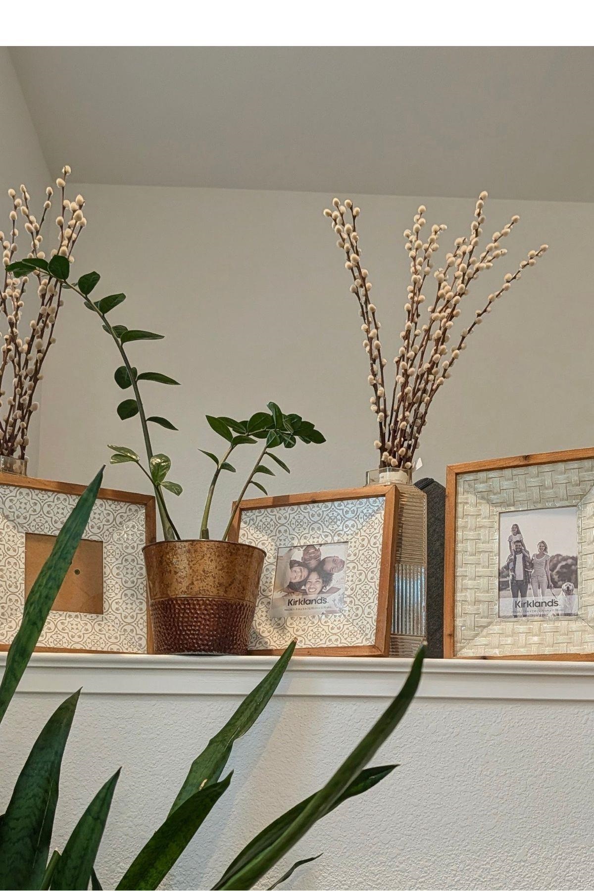 Detail Gallery Image 2 of 19 For 50 Driftwood Circle, Bay Point,  CA 94565 - 3 Beds | 2/1 Baths