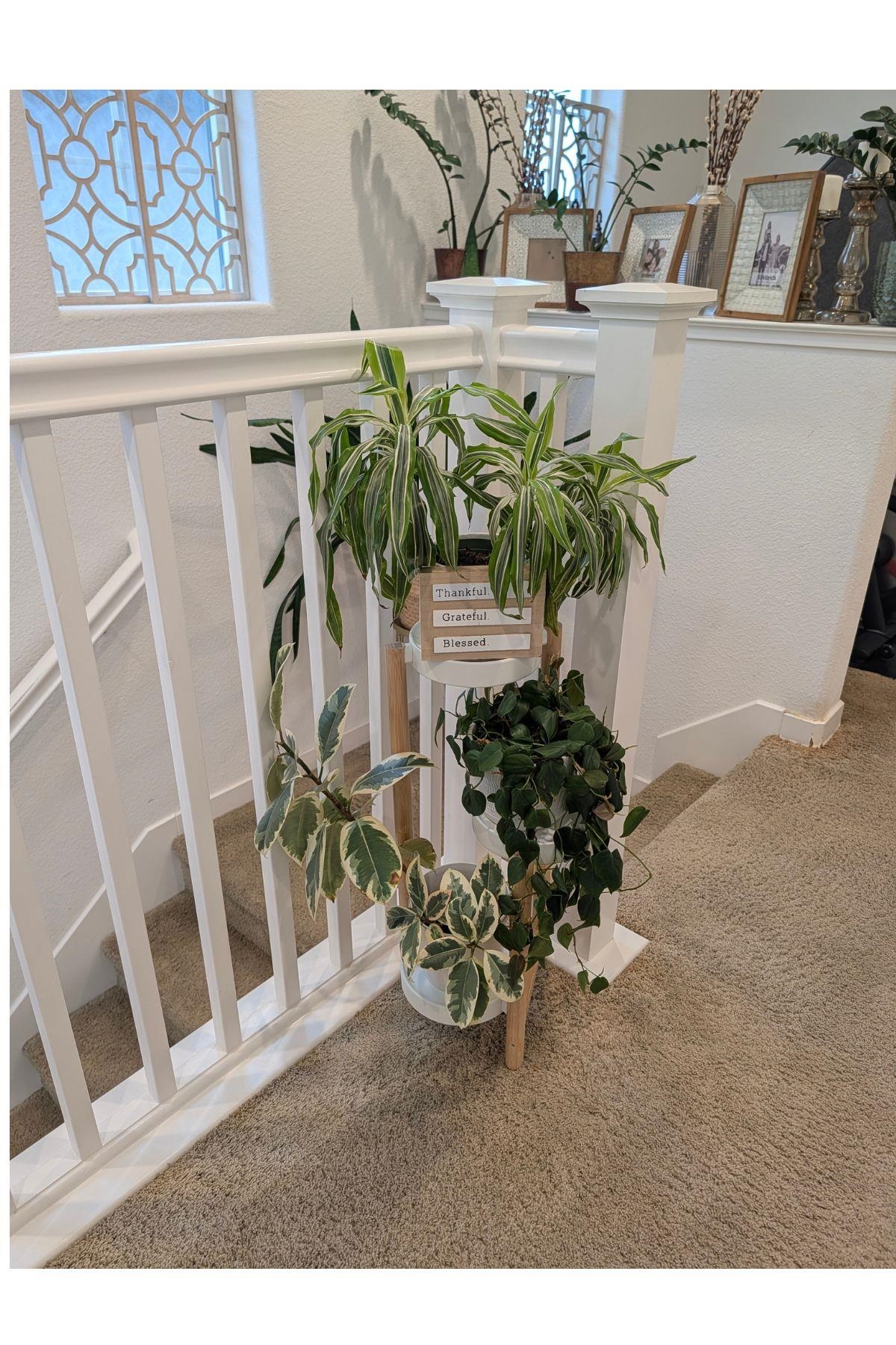 Detail Gallery Image 3 of 19 For 50 Driftwood Circle, Bay Point,  CA 94565 - 3 Beds | 2/1 Baths