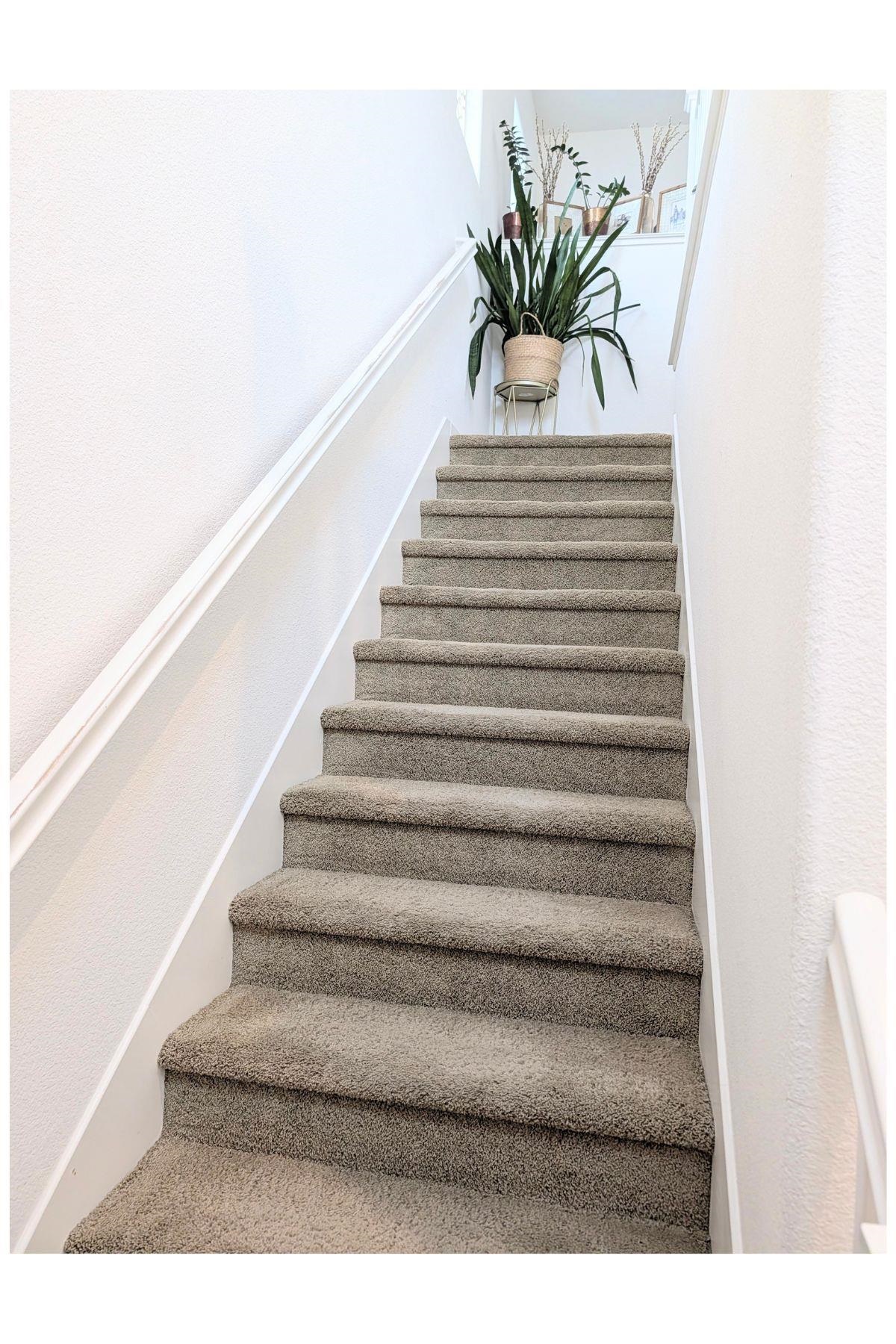 Detail Gallery Image 9 of 19 For 50 Driftwood Circle, Bay Point,  CA 94565 - 3 Beds | 2/1 Baths