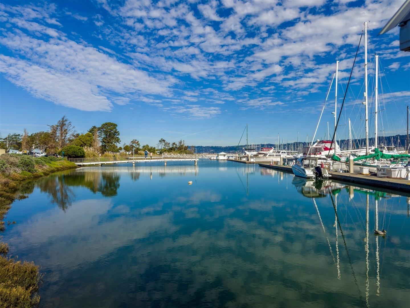 Photo #43: 41119986 Listing: Photo #43