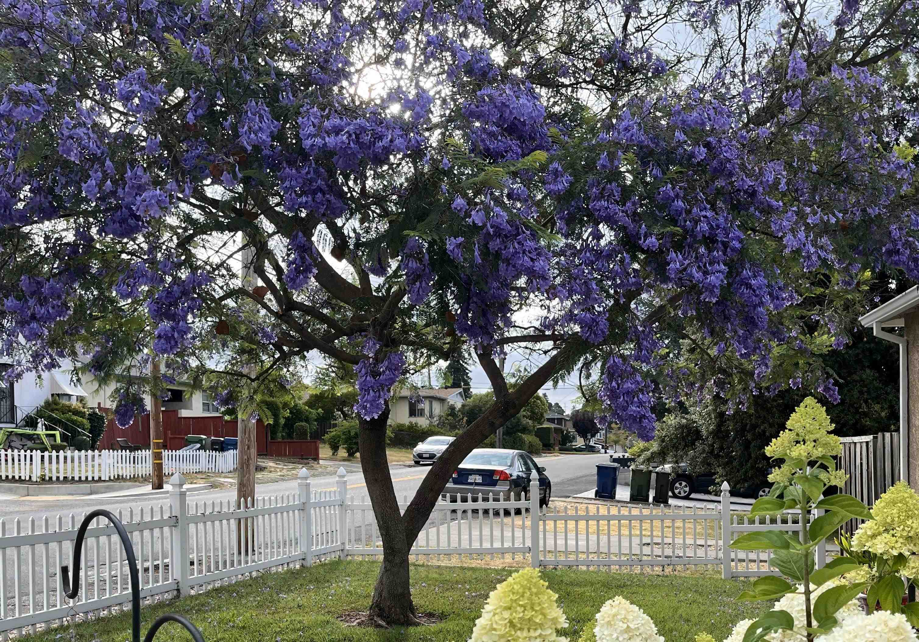 Detail Gallery Image 30 of 31 For 3975 Wilson Ave, Castro Valley,  CA 94546 - 2 Beds | 1 Baths