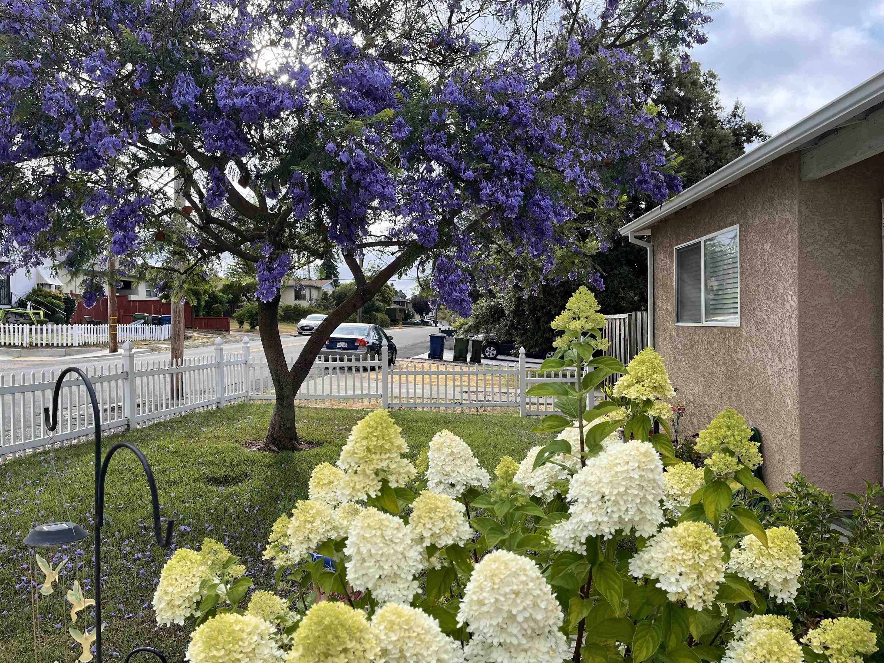 Detail Gallery Image 6 of 31 For 3975 Wilson Ave, Castro Valley,  CA 94546 - 2 Beds | 1 Baths