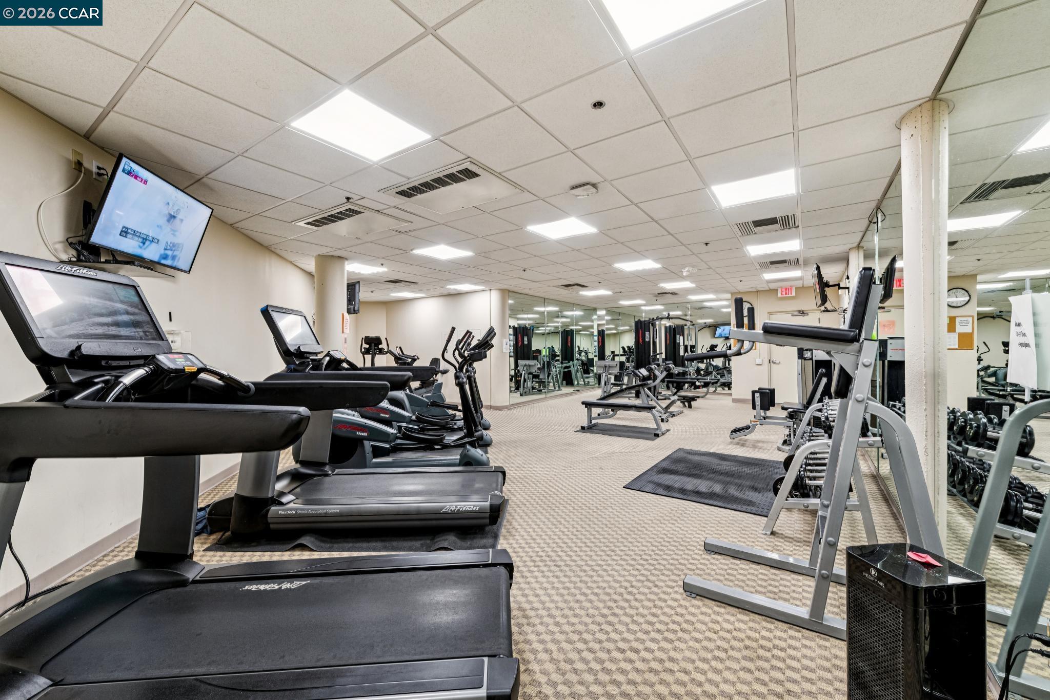 Photo #32: 41120022 Listing: Photo #32