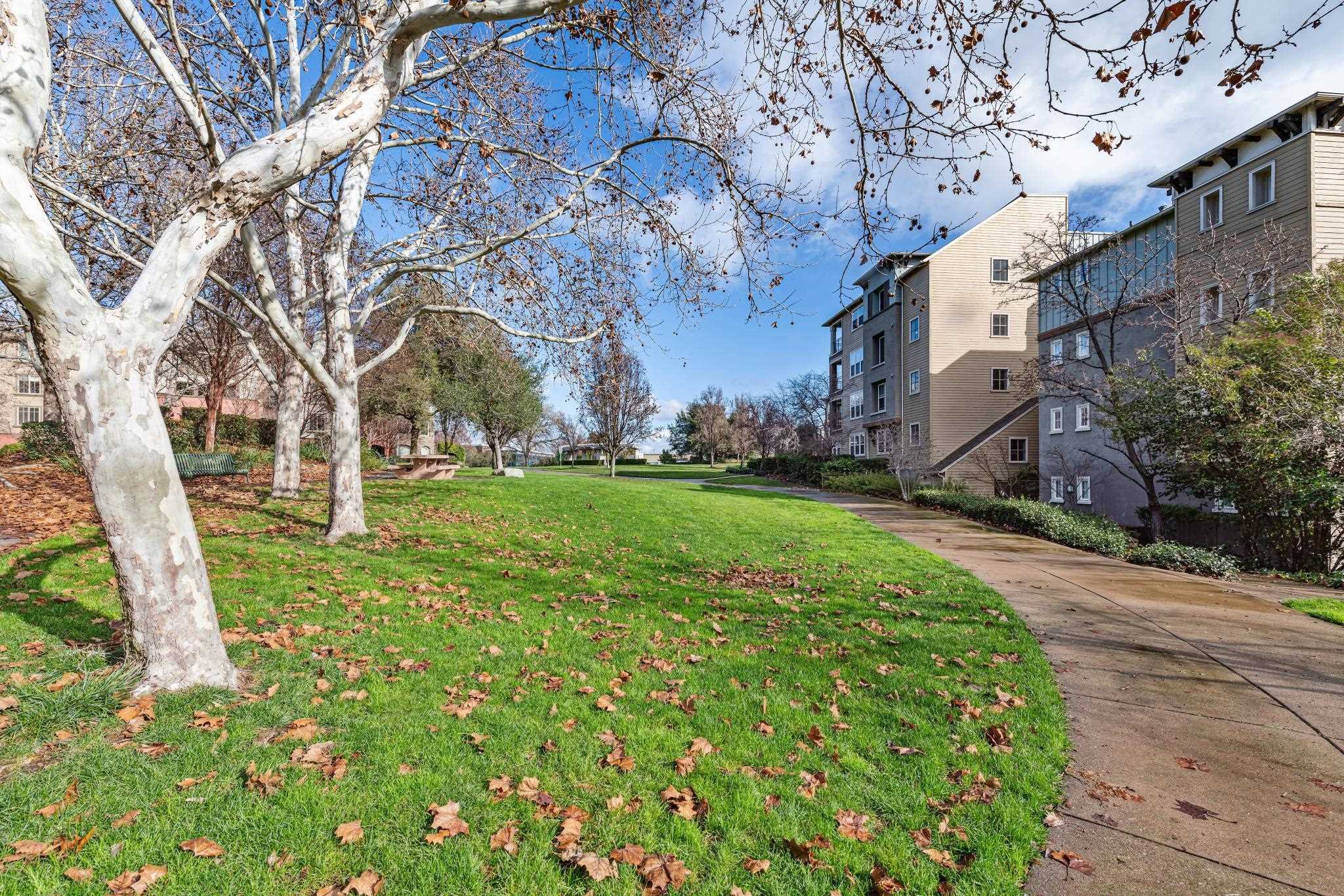 Photo #43: 41120022 Listing: Photo #43