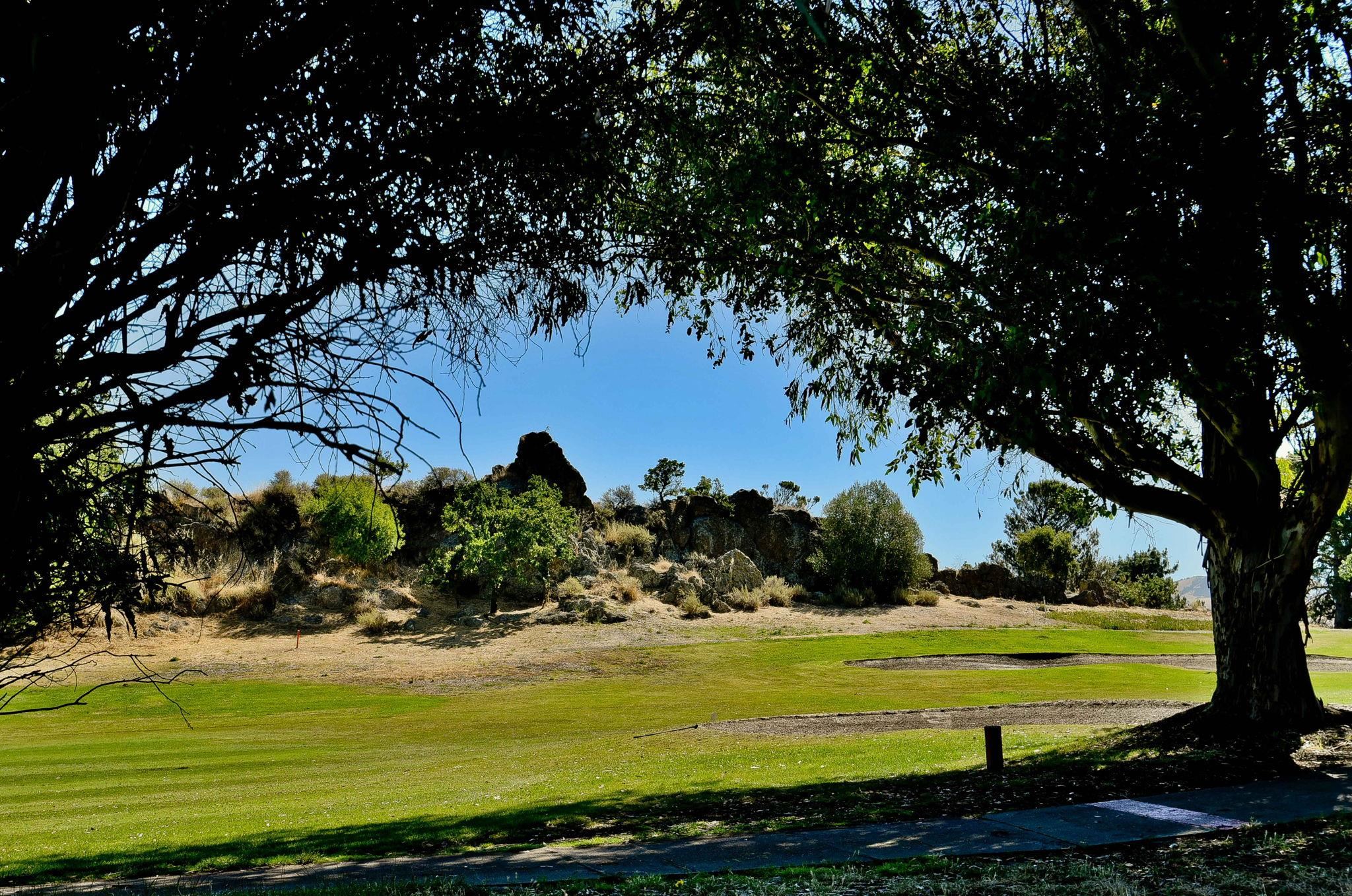 Detail Gallery Image 37 of 37 For 1463 Marchbanks Dr #2,  Walnut Creek,  CA 94598 - 2 Beds | 1 Baths