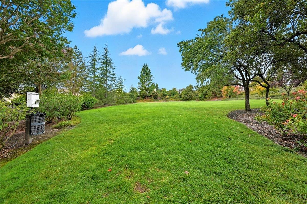 Detail Gallery Image 58 of 60 For 234 Laurelglen Ct, Danville,  CA 94506 - 4 Beds | 3 Baths