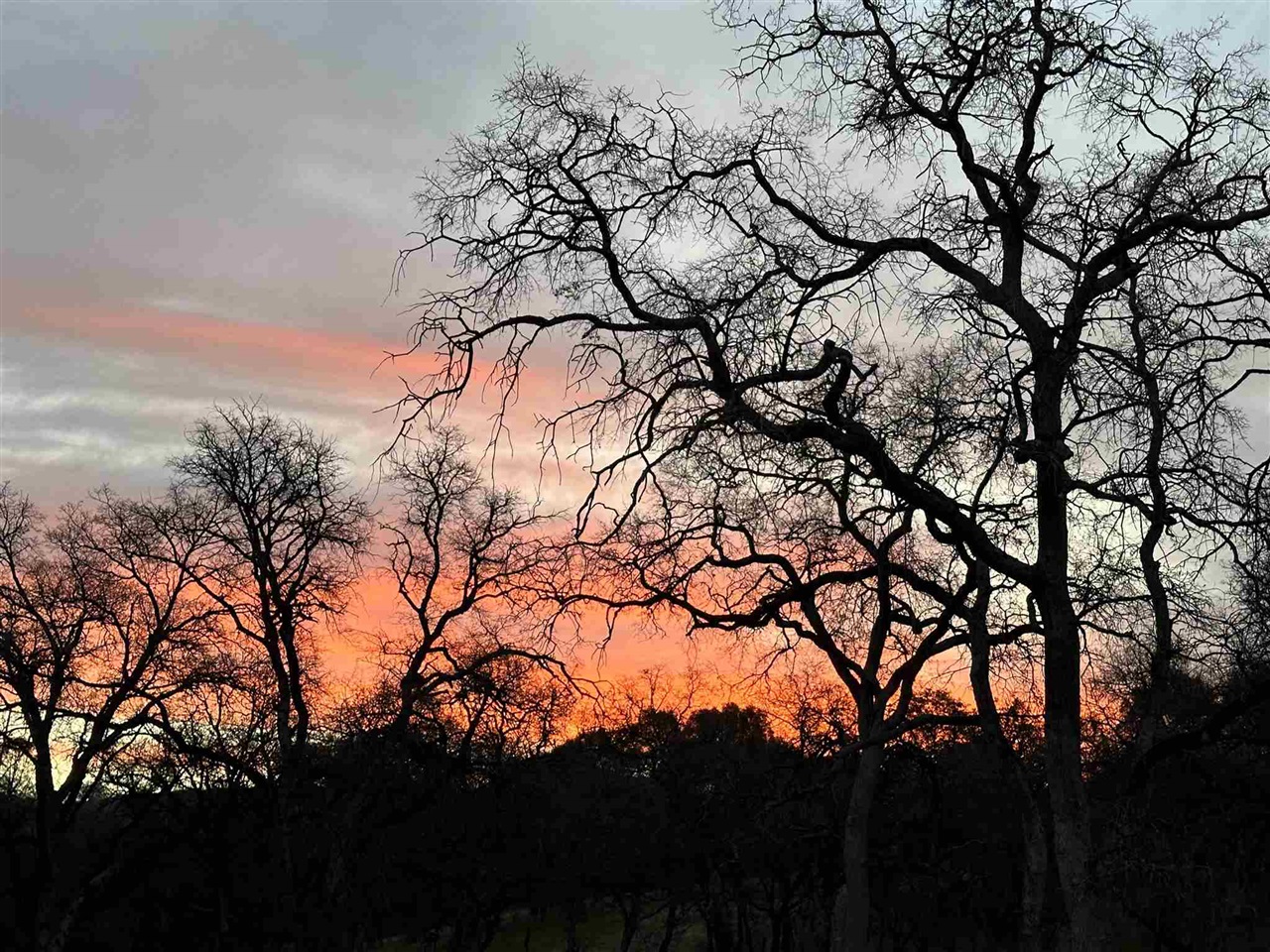 Detail Gallery Image 54 of 60 For 15653 Hwy 108, Jamestown,  CA 95327 - 2 Beds | 1 Baths