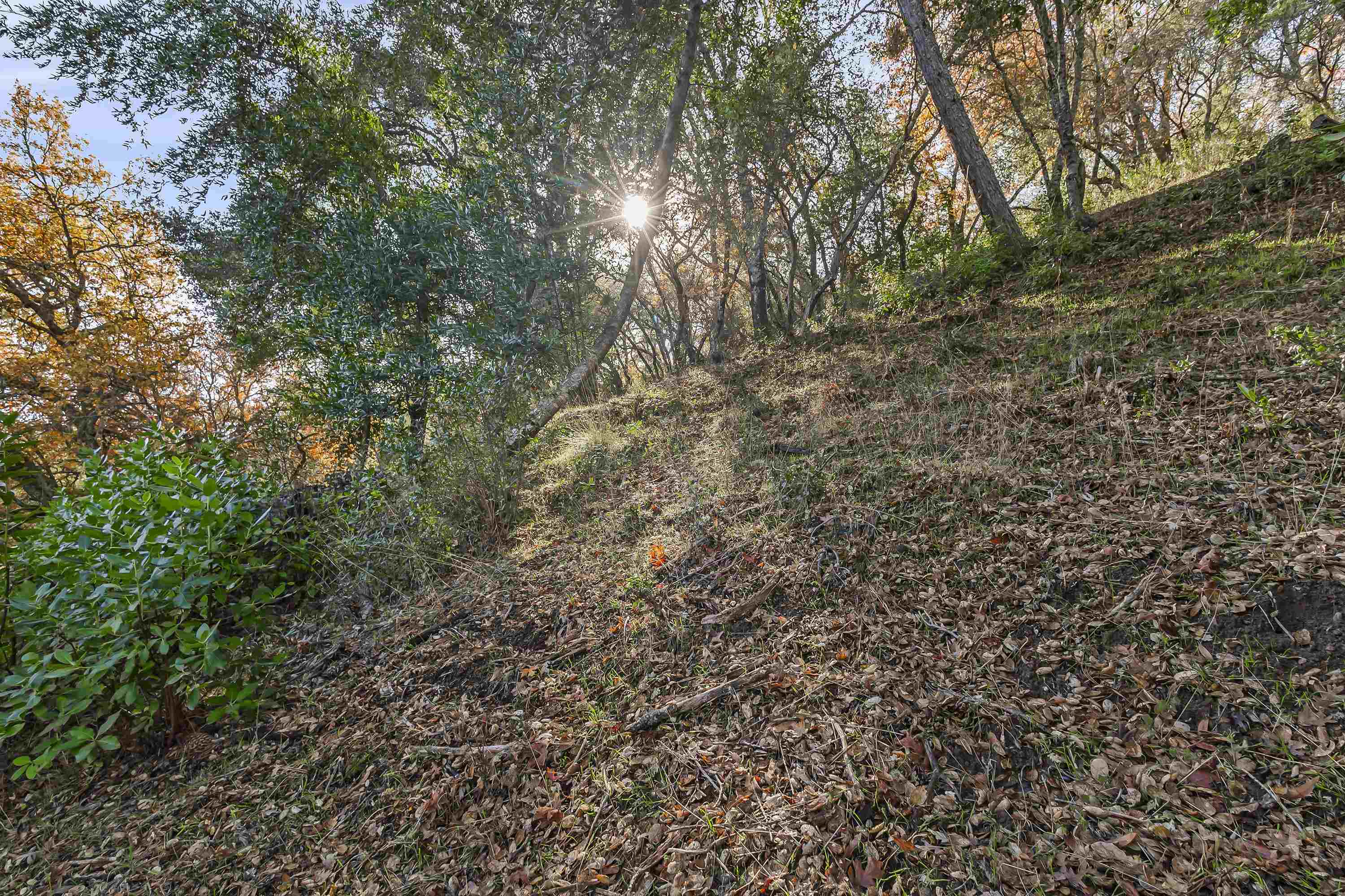 Detail Gallery Image 17 of 39 For 78 Circle Oaks Drive, Napa,  CA 94558 - – Beds | – Baths