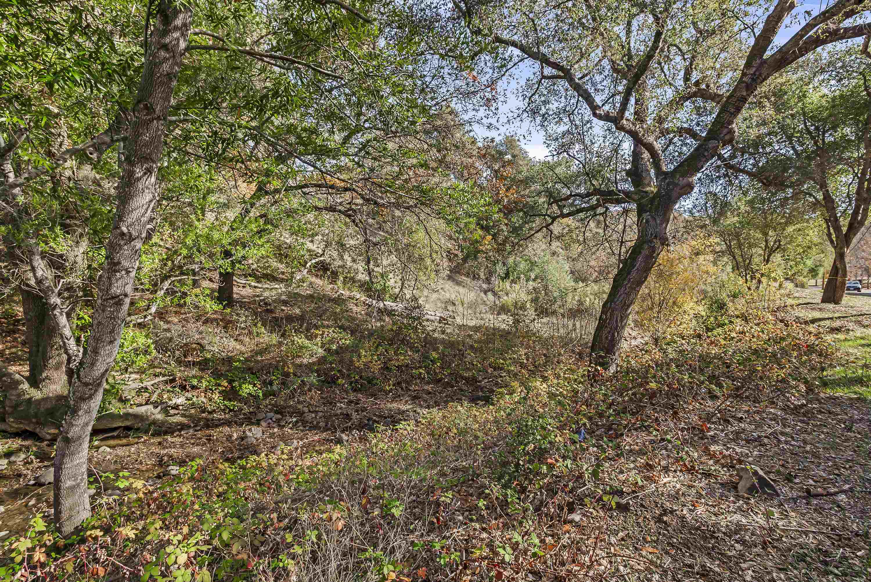 Detail Gallery Image 18 of 39 For 78 Circle Oaks Drive, Napa,  CA 94558 - – Beds | – Baths