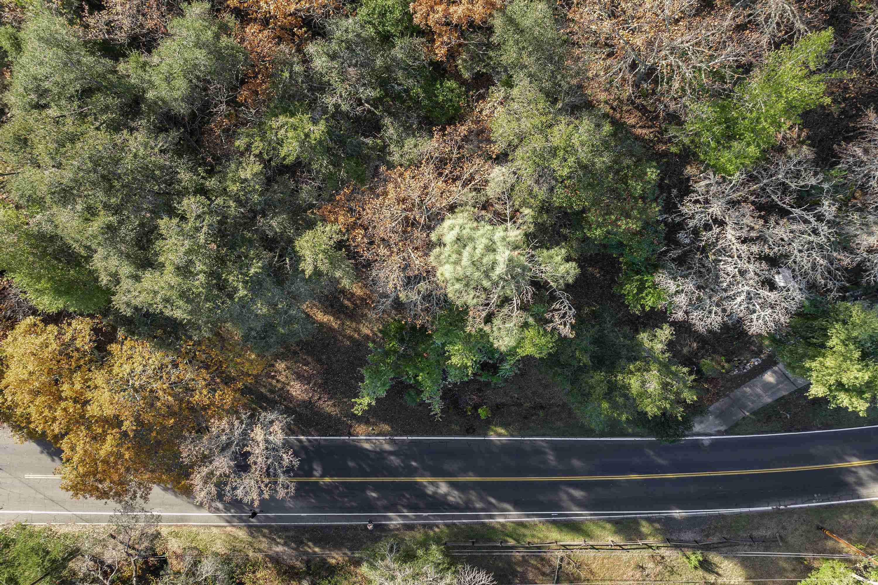 Detail Gallery Image 25 of 39 For 78 Circle Oaks Drive, Napa,  CA 94558 - – Beds | – Baths